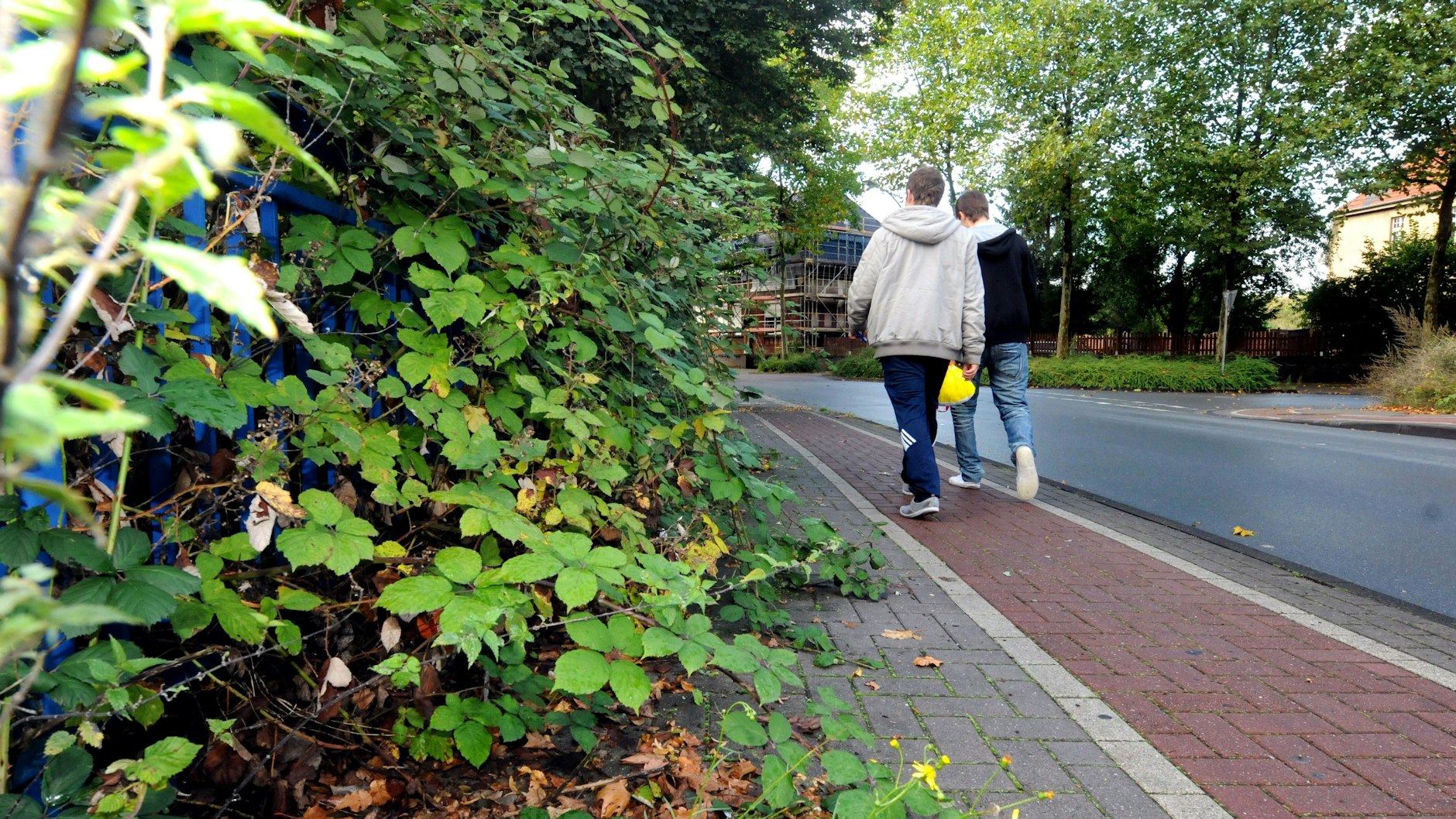 Sind die Gehwege zugewuchert, müssen Fußgänger auf die Radwege ausweichen.