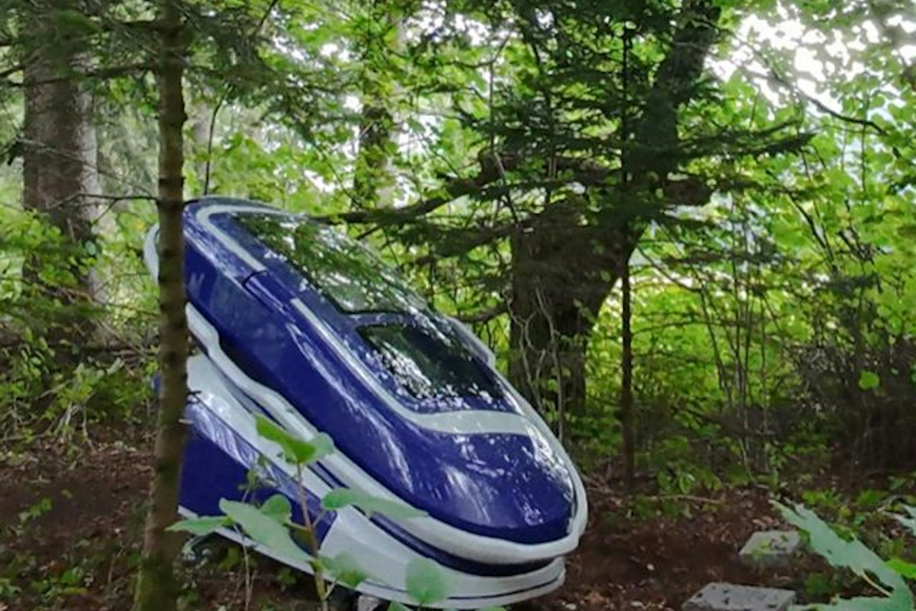 Die Frau nahm sich in der umstrittenen Kapsel „Sarco“ das Leben.