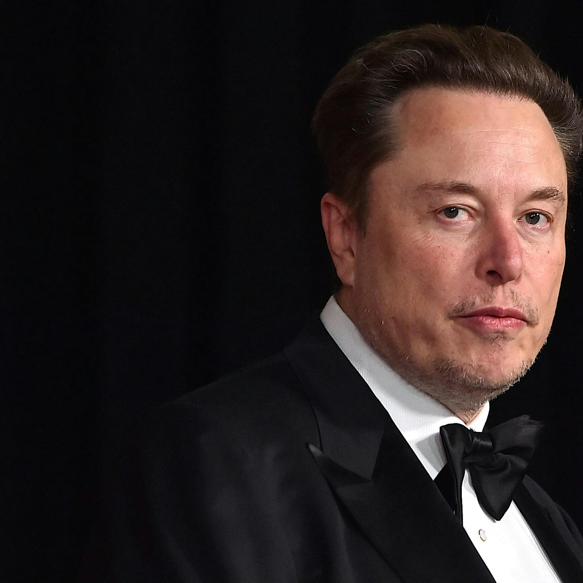 Ökonom widerspricht Elon Musk: Dieser „liegt falsch“ – die AfD würde Deutschland deindustrialisieren