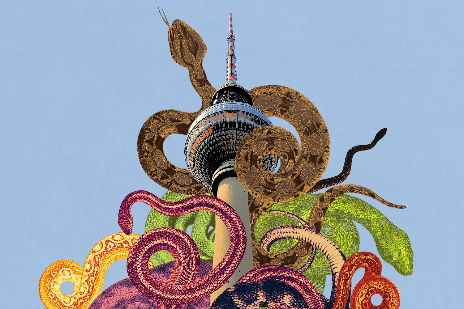 Grausige Entdeckung in Kreuzberg: Was macht eine Python in meinem Wohnzimmer?