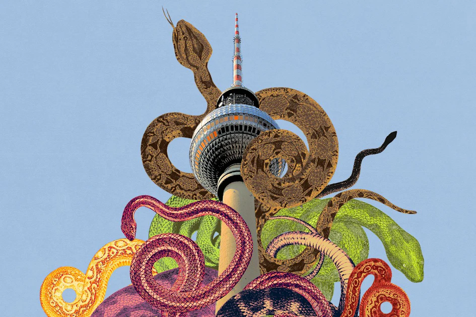 Macht Con Python Grausige Entdeckung in Kreuzberg: Was macht eine Python in meiner Wohnung?
