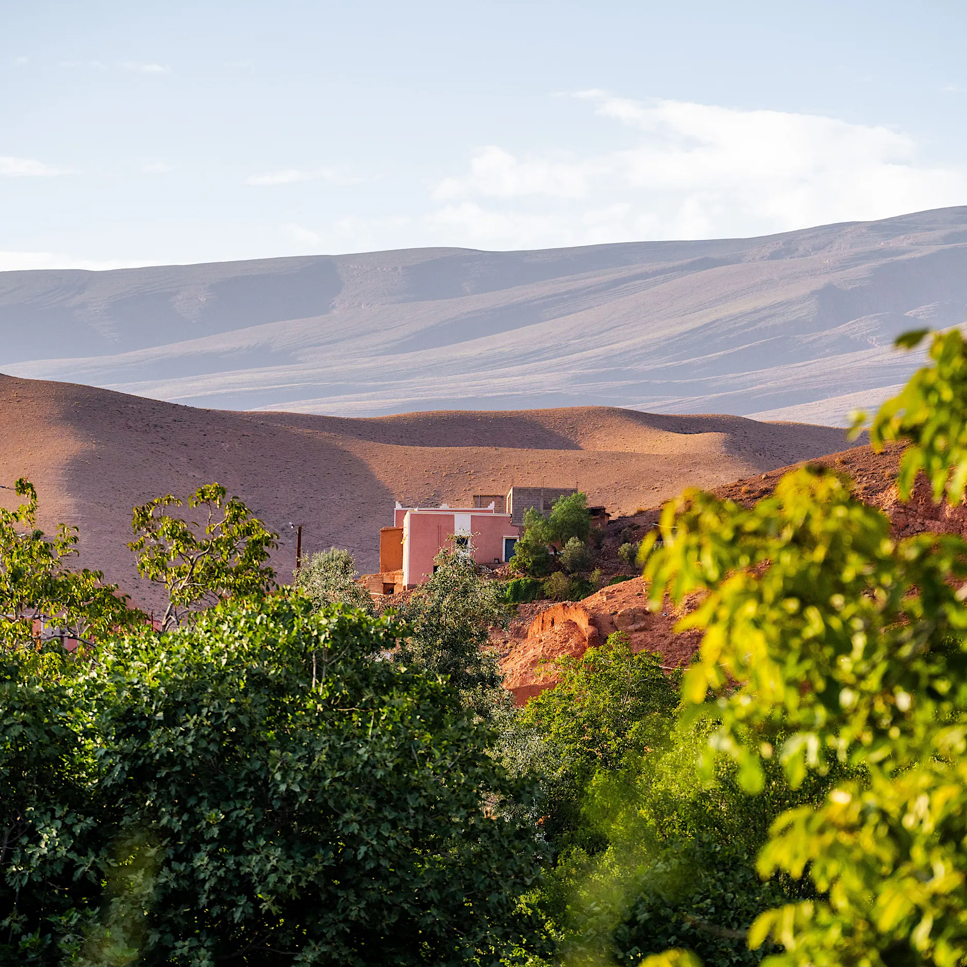 Sahara-Wüste färbt sich grün – Satellitenbilder der Nasa