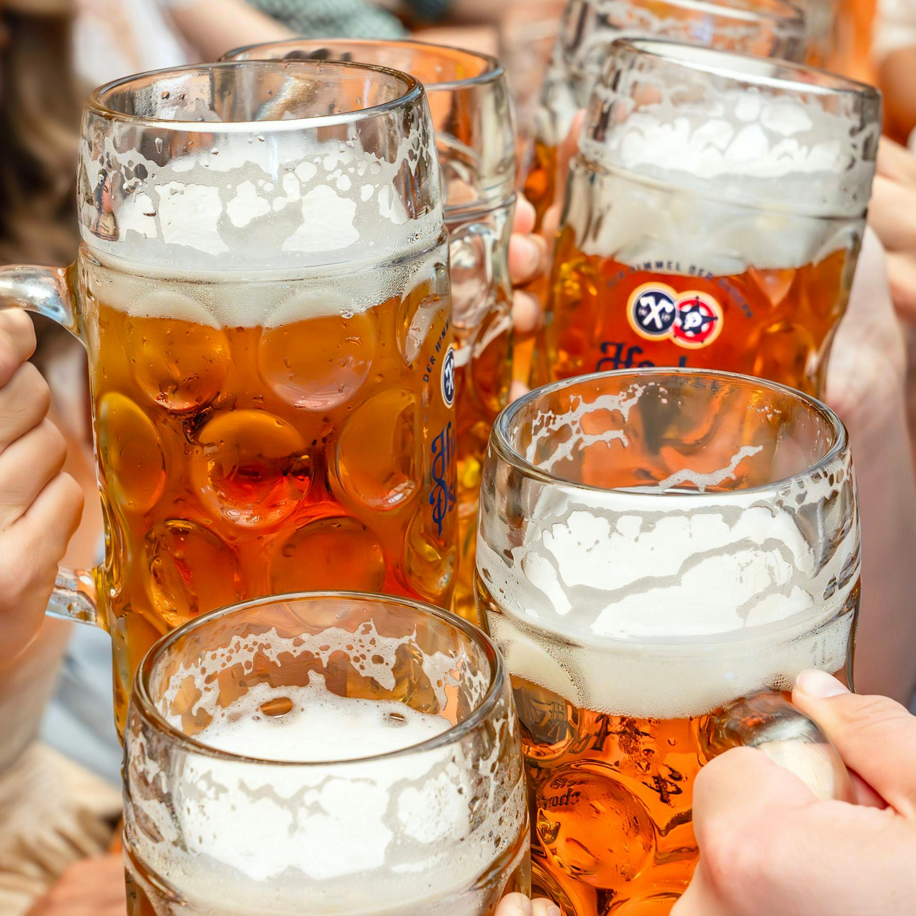 So viel verdient ein Oktoberfest-Wirt, wenn alle im Zelt einen Schluck trinken