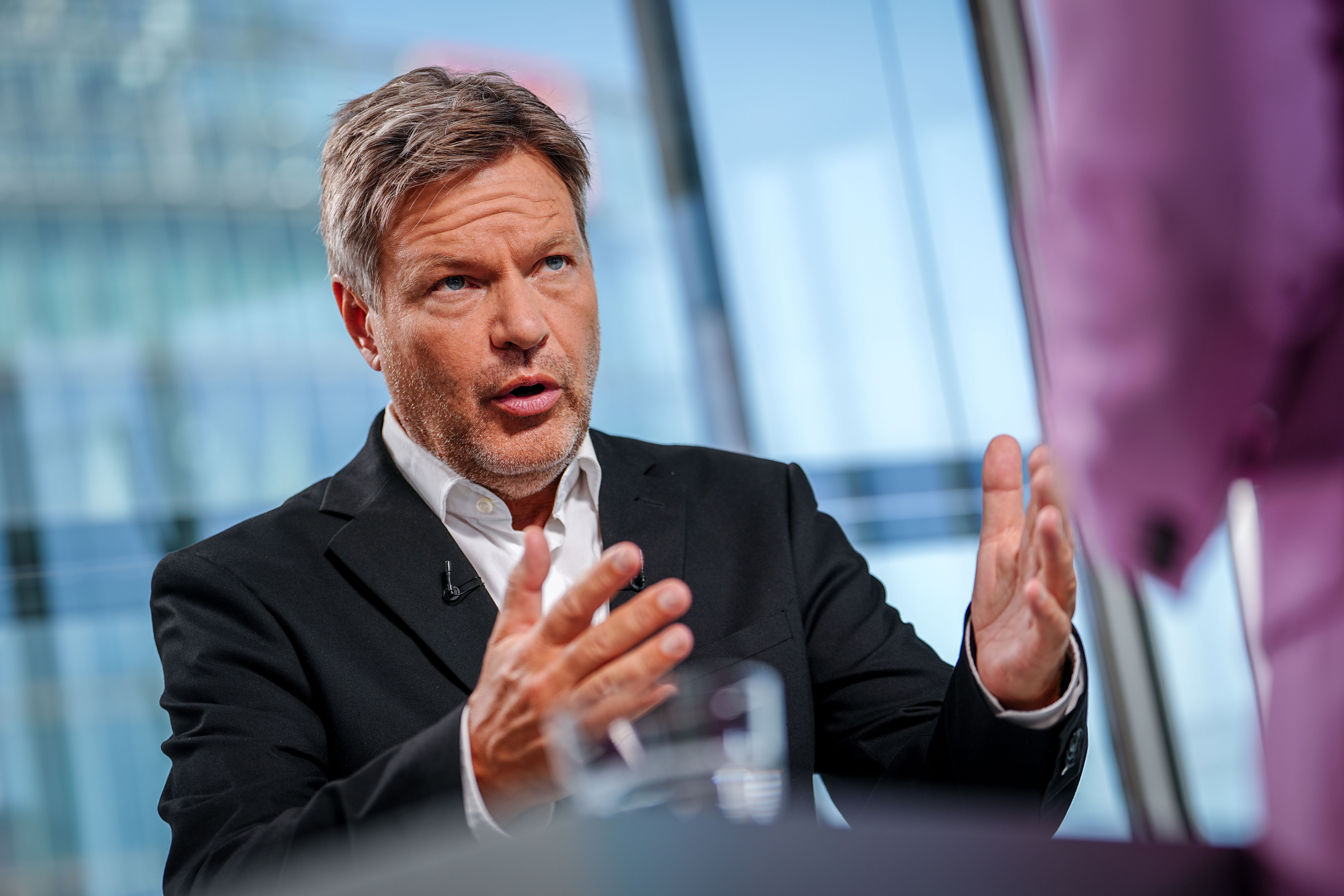 Image - Habecks grüner Stahl: Warum er eine extrem teure Illusion ist