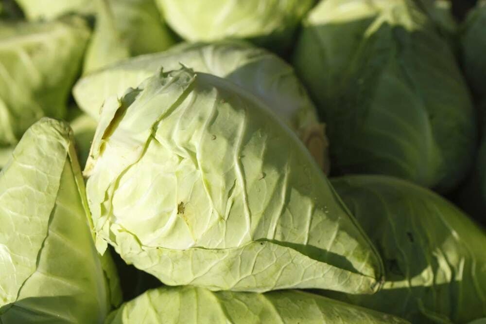 Rezept für Spitzkohl-Ring aus dem Gugelhupf: Außergewöhnlich lecker!