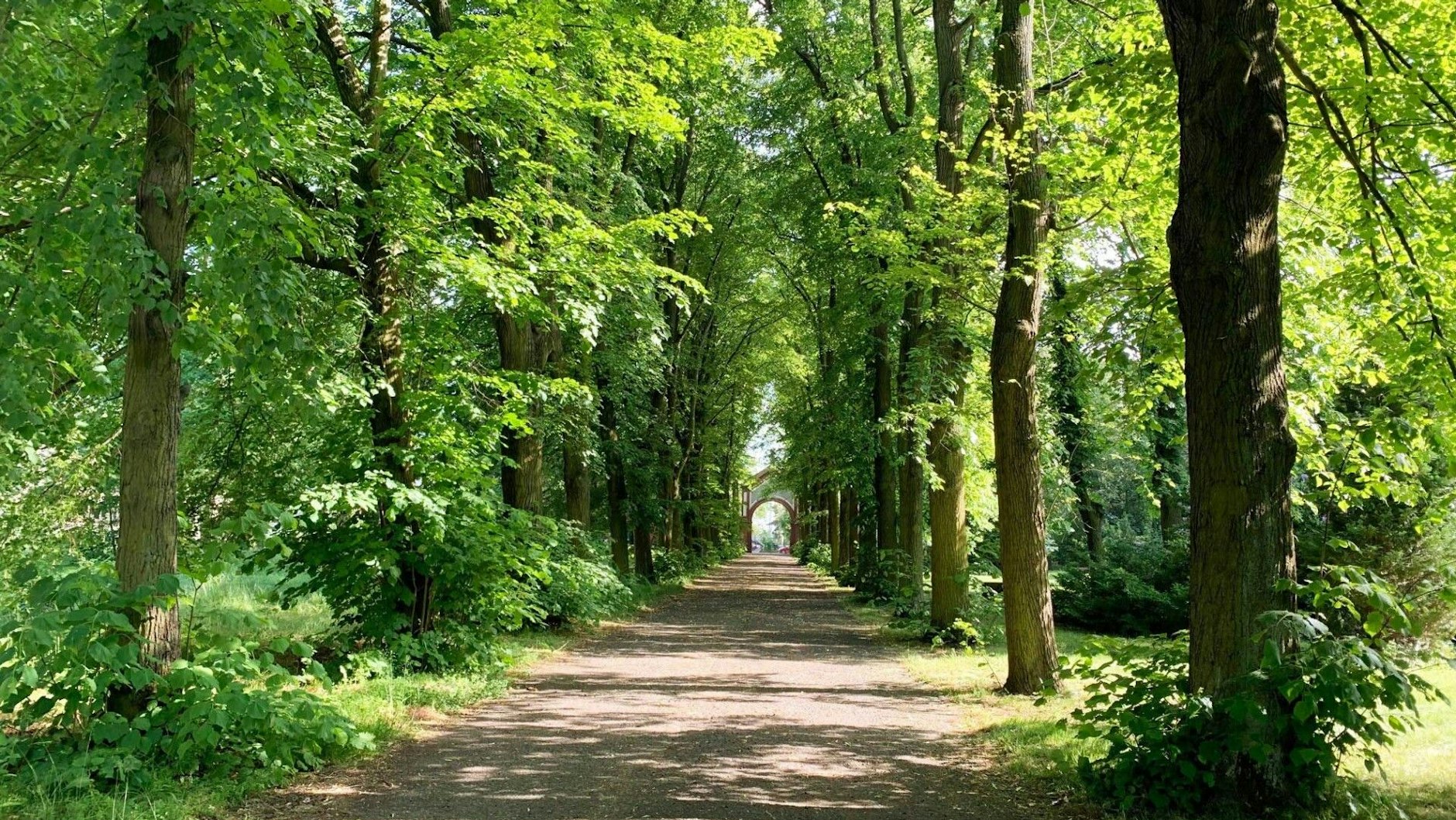 Am Schätzelberg in Mariendorf sollen 230 neue Wohnungen entstehen. Aber das Bauprojekt liegt auf Eis - wegen eines leeren Vogelnests.