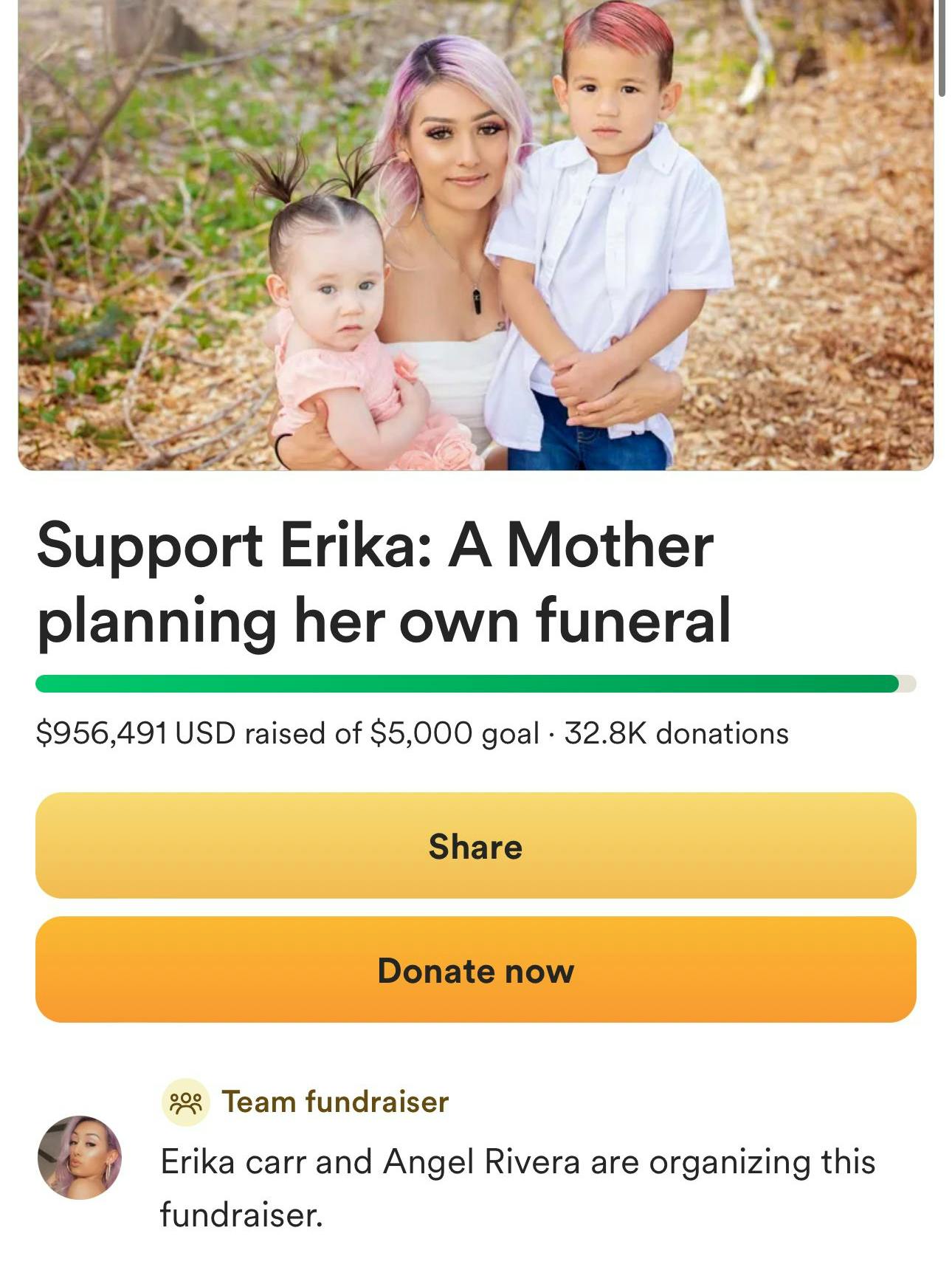 Die Spendenseite für Erika Diarte-Carr auf der Plattform GoFundMe.