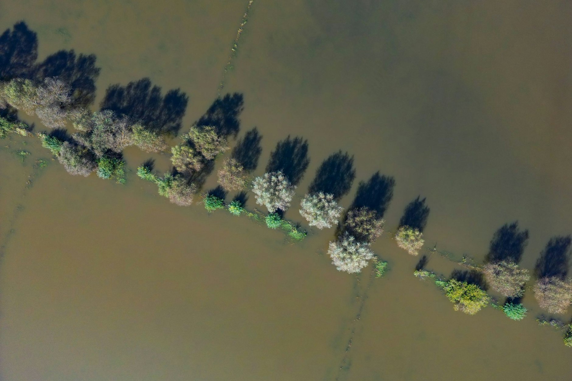 Mit den steigenden Pegelständen an der Oder wuchs auch die Anspannung im Osten Brandenburgs. Mehrere Tage lang bereiten sich die Orte entlang des deutsch-polnischen Grenzflusses Oder auf eine Verschärfung der Hochwasserlage vor – jetzt wurde entwarnt!