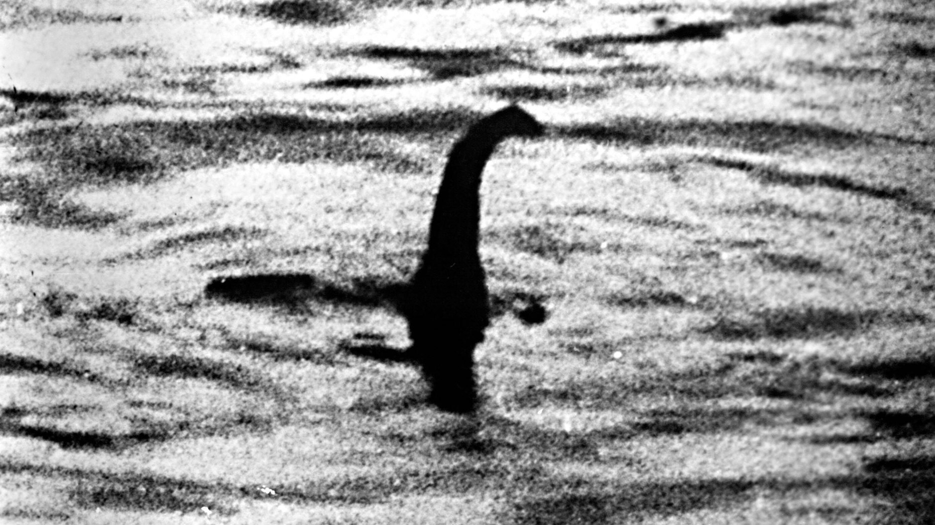 Dieses Foto von 1934 ist die erste Aufnahme, die angeblich das Monster von Loch Ness zeigt.