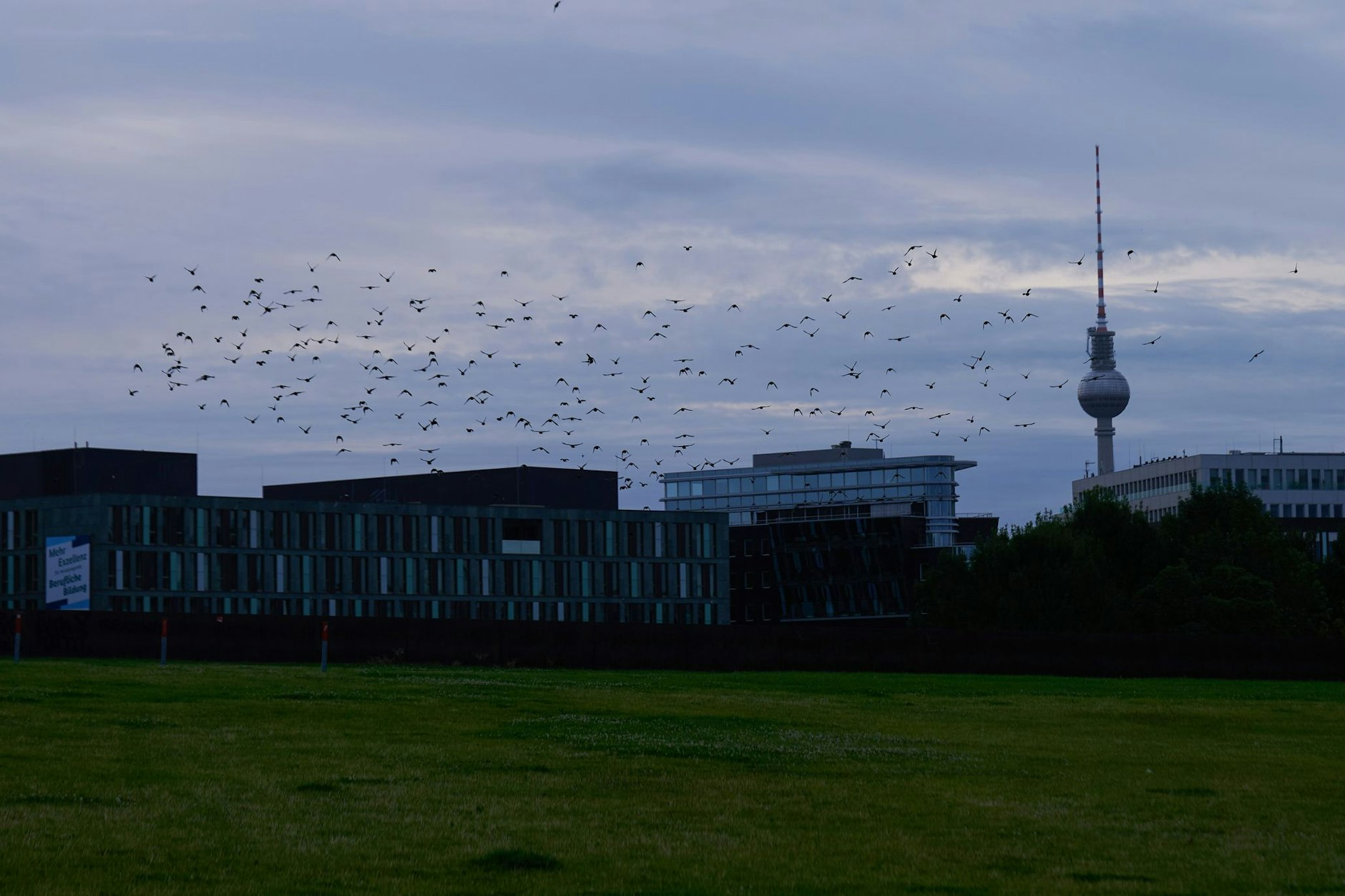 Vögel fliegen über dem Spreebogenpark vor dem Fernsehturm. Hier soll das Mahnmal für die Opfer kommunistischer Gewaltherrschaft entstehen.&nbsp;