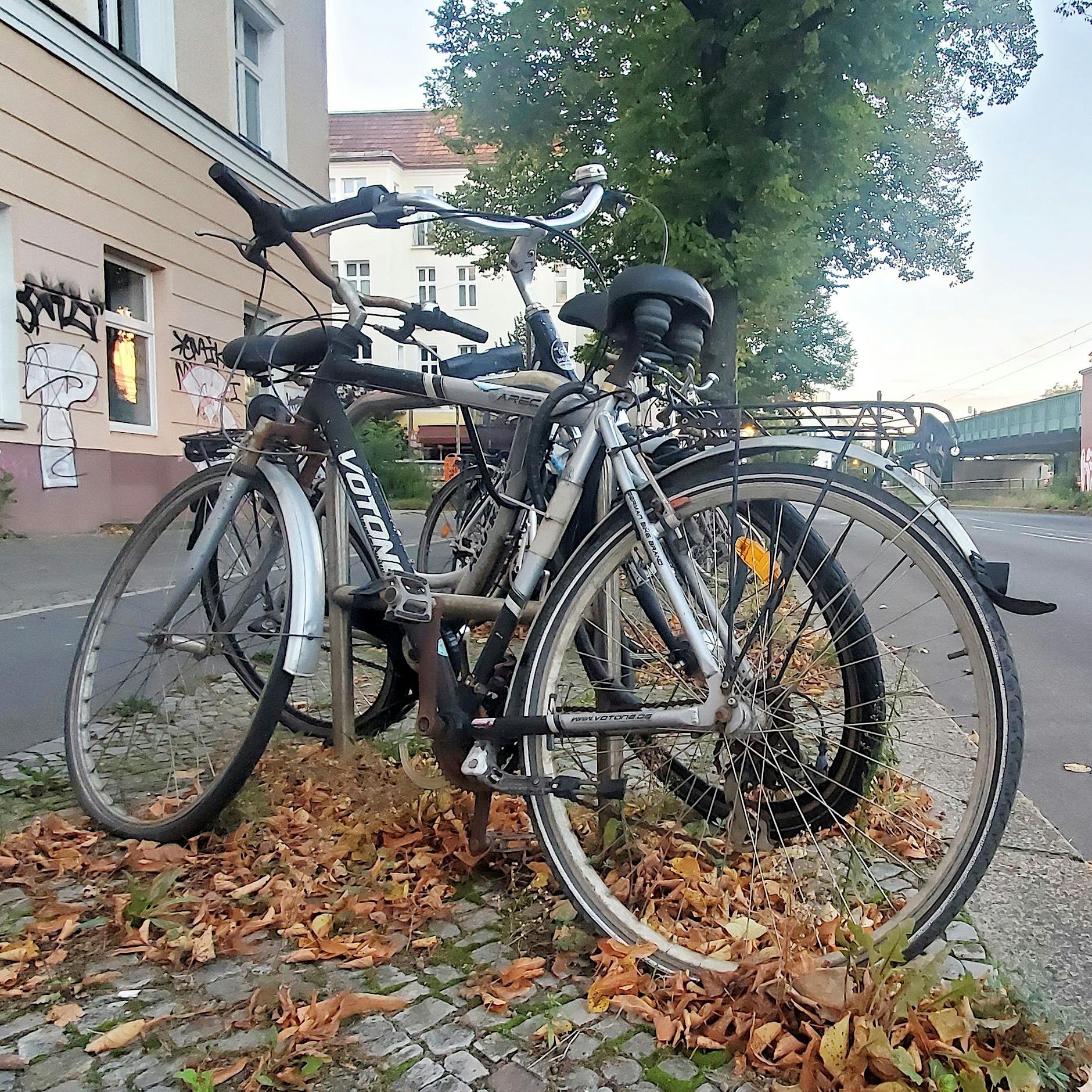 Berliner Osten: Fahrradleichen verschandeln die Stadt – Behörden machtlos?