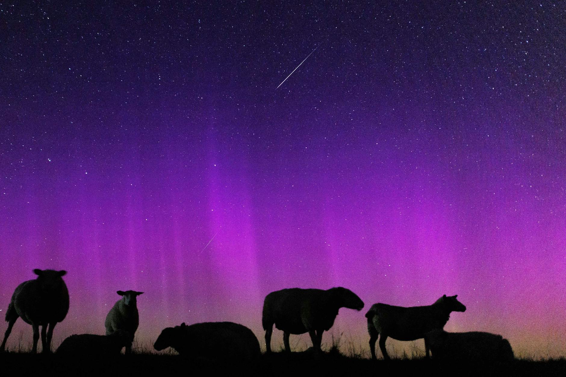 Experten erwarten spektakuläre Polarlichter.