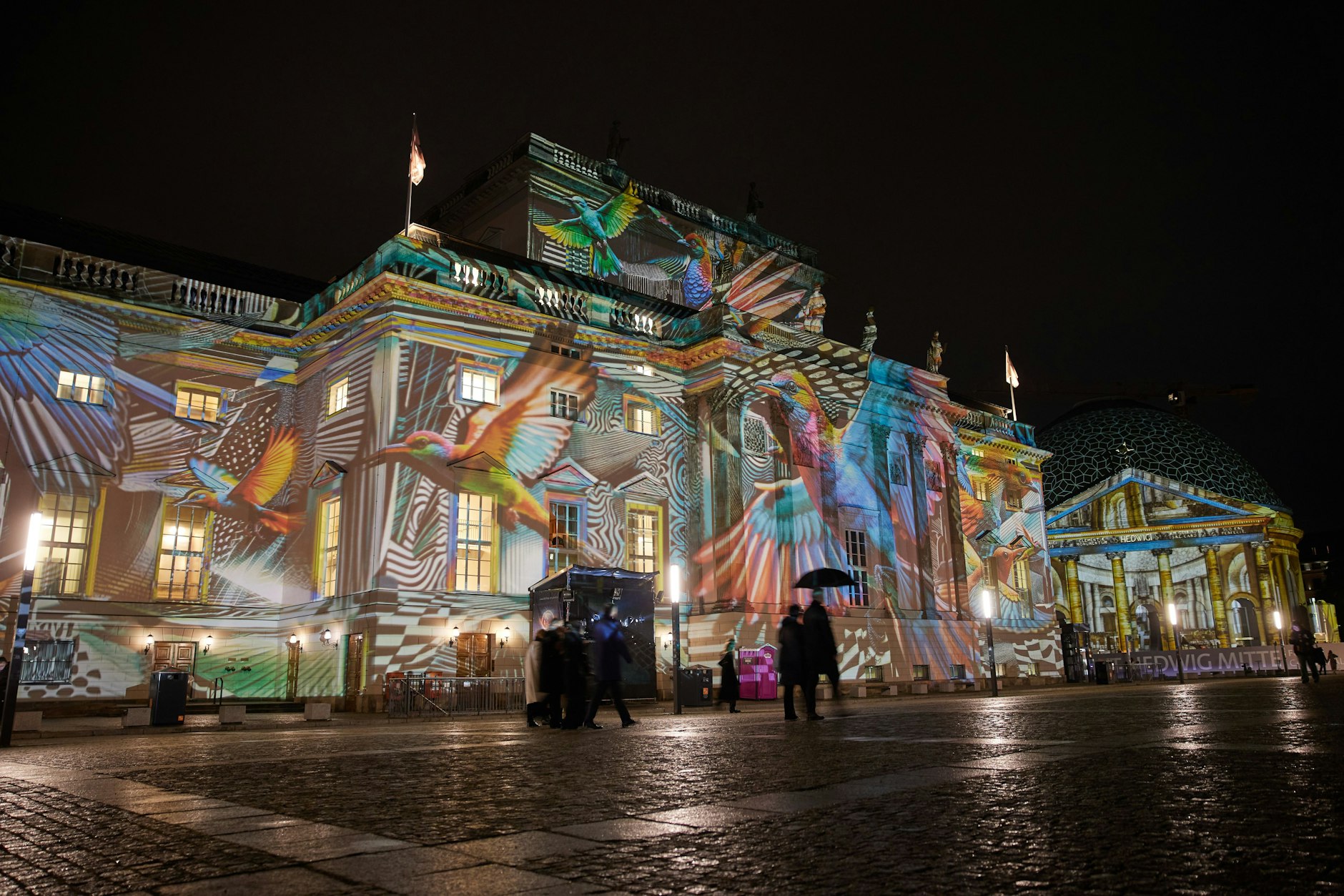 Tierisch wild wird es an der Staatsoper: Zahlreiche Kolibris sind auf der Fassade zu sehen.