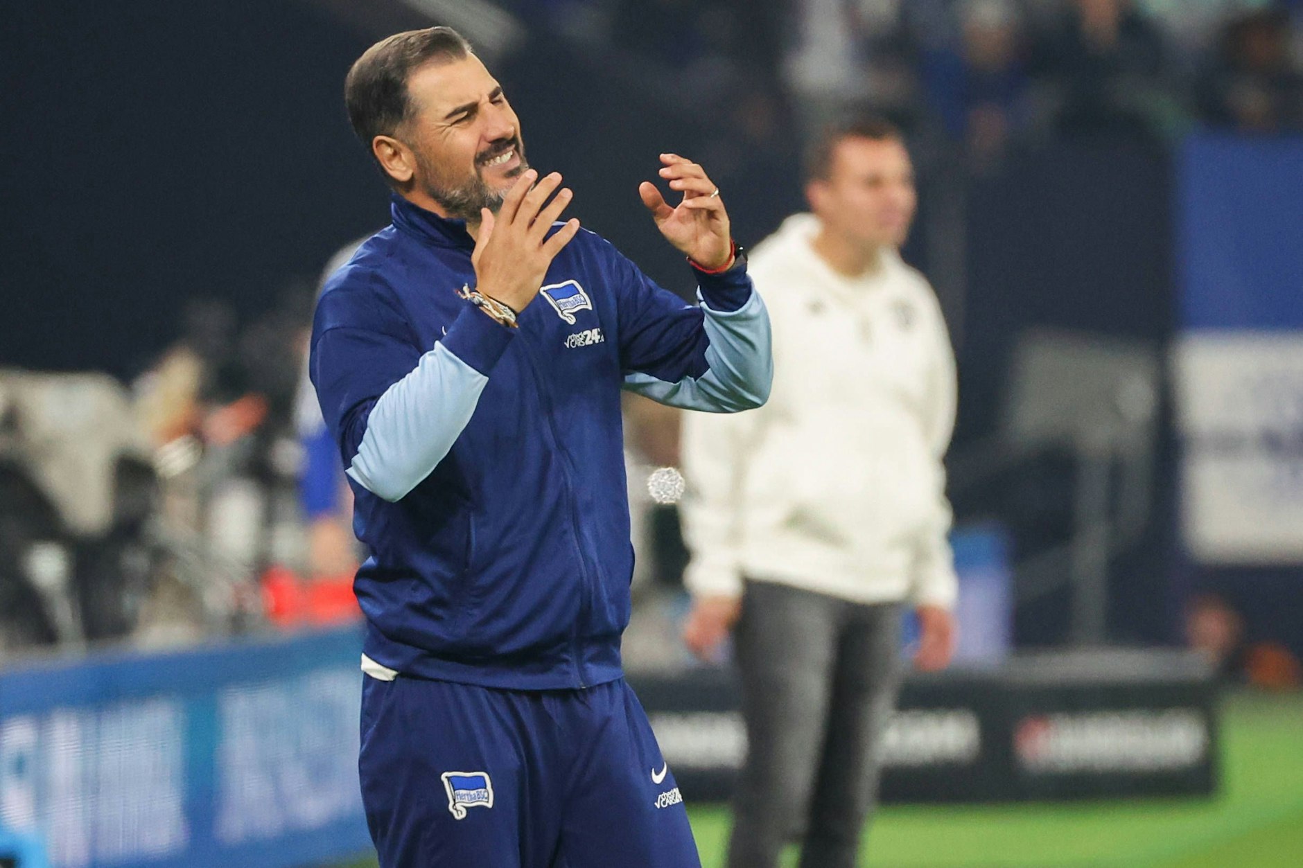Herthas Trainer Cristian Fiel musste auf Schalke leiden. Seine Spieler schafften es nicht, konsequent auf Sieg zu spielen.