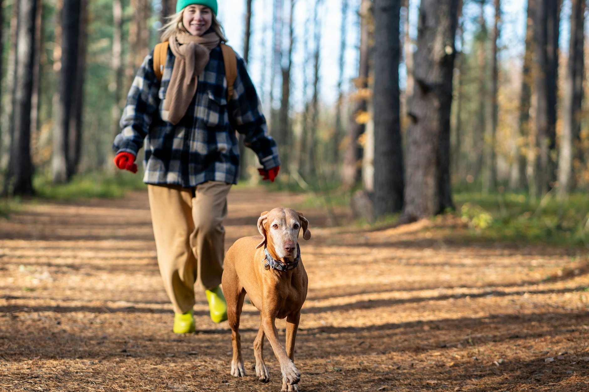 Donnerstag, der Tag, um Entscheidungen zu treffen. Ihr Horoskop zeigt, wie Sie Ihre Ziele mit Entschlossenheit erreichen können.