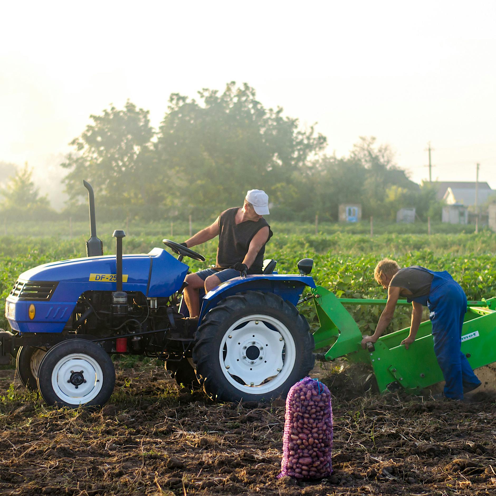 Ukraine verzeichnet starke Inflation: Was sind die Gründe für die hohen Kartoffelpreise?