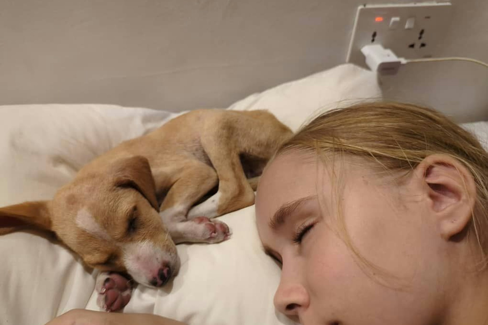 Die elfjährige Hanka mit dem damals noch sehr jungen und zugelaufenen Welpen Milo in Sansibar. Milo erkrankte und verstarb drei Tage bevor Markus krank wurde – ein Zufall? Anja glaubt, Markus wurde vom Hund angesteckt. 