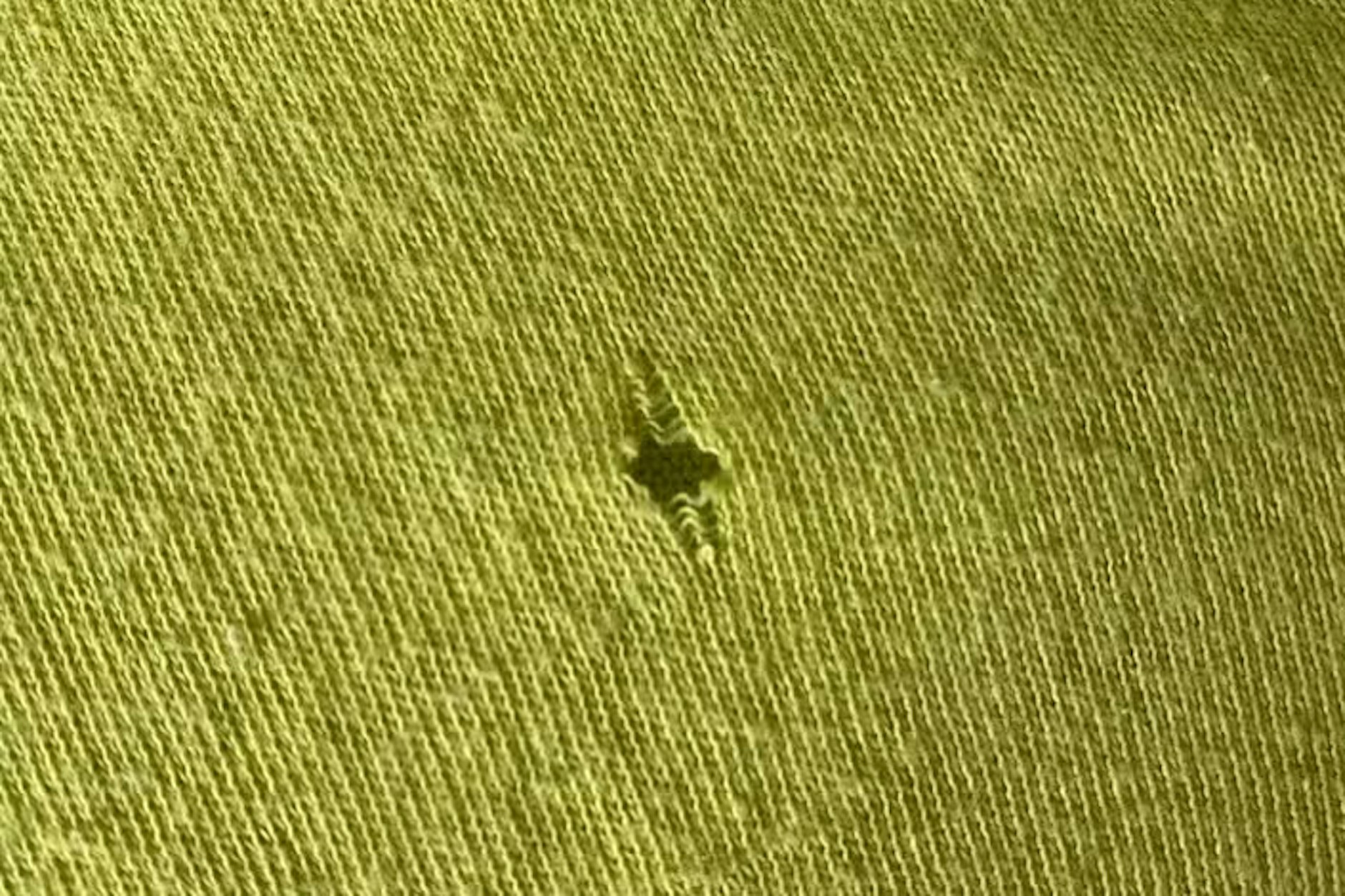 Passiert Ihnen das auch immer wieder? Schon kurz nach dem Kauf eines neuen T-Shirts oder Pullovers entdecken Sie kleine Löcher im Stoff.