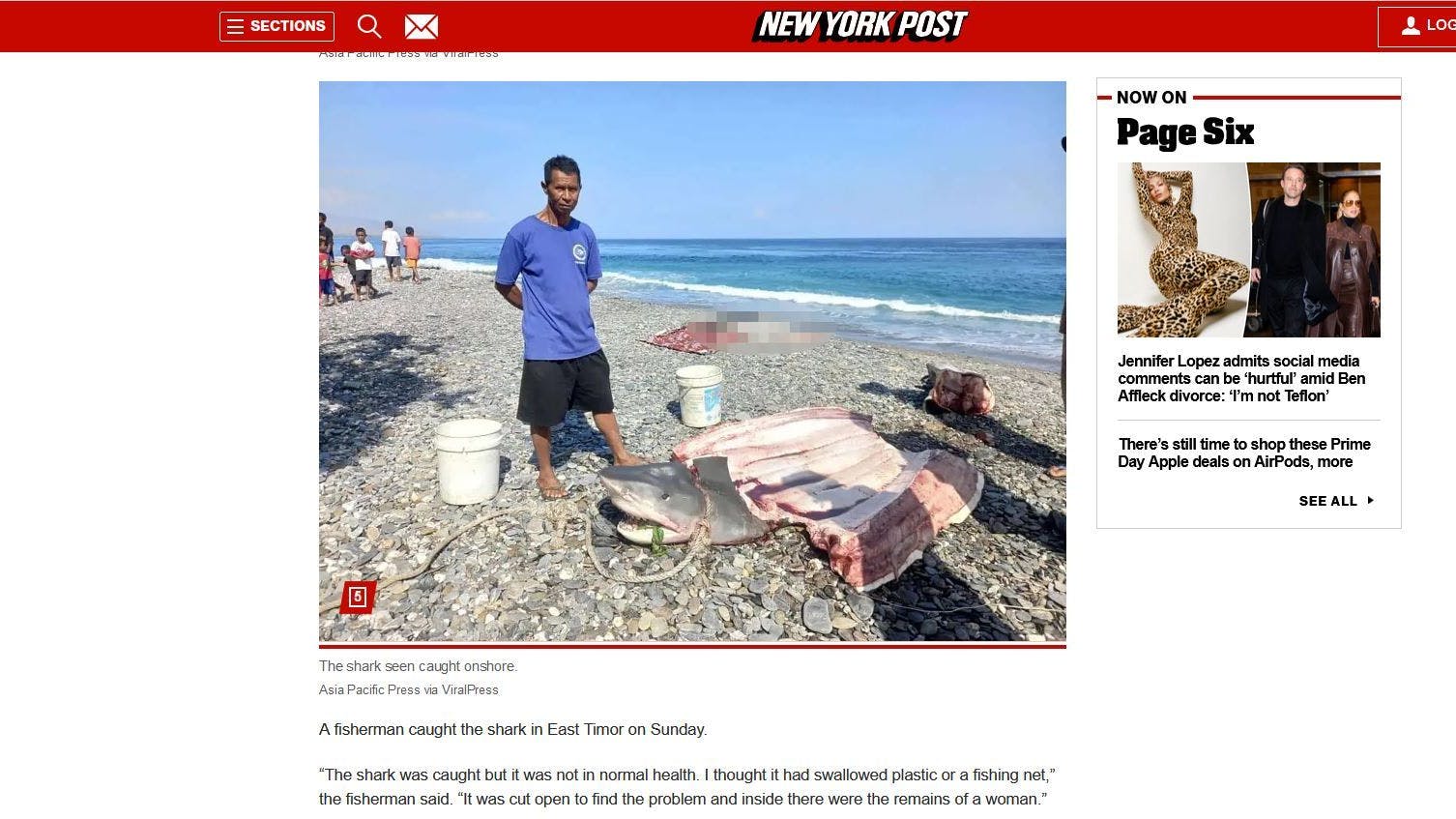 So berichtete die New York Post über den erlegten kranken Hai.