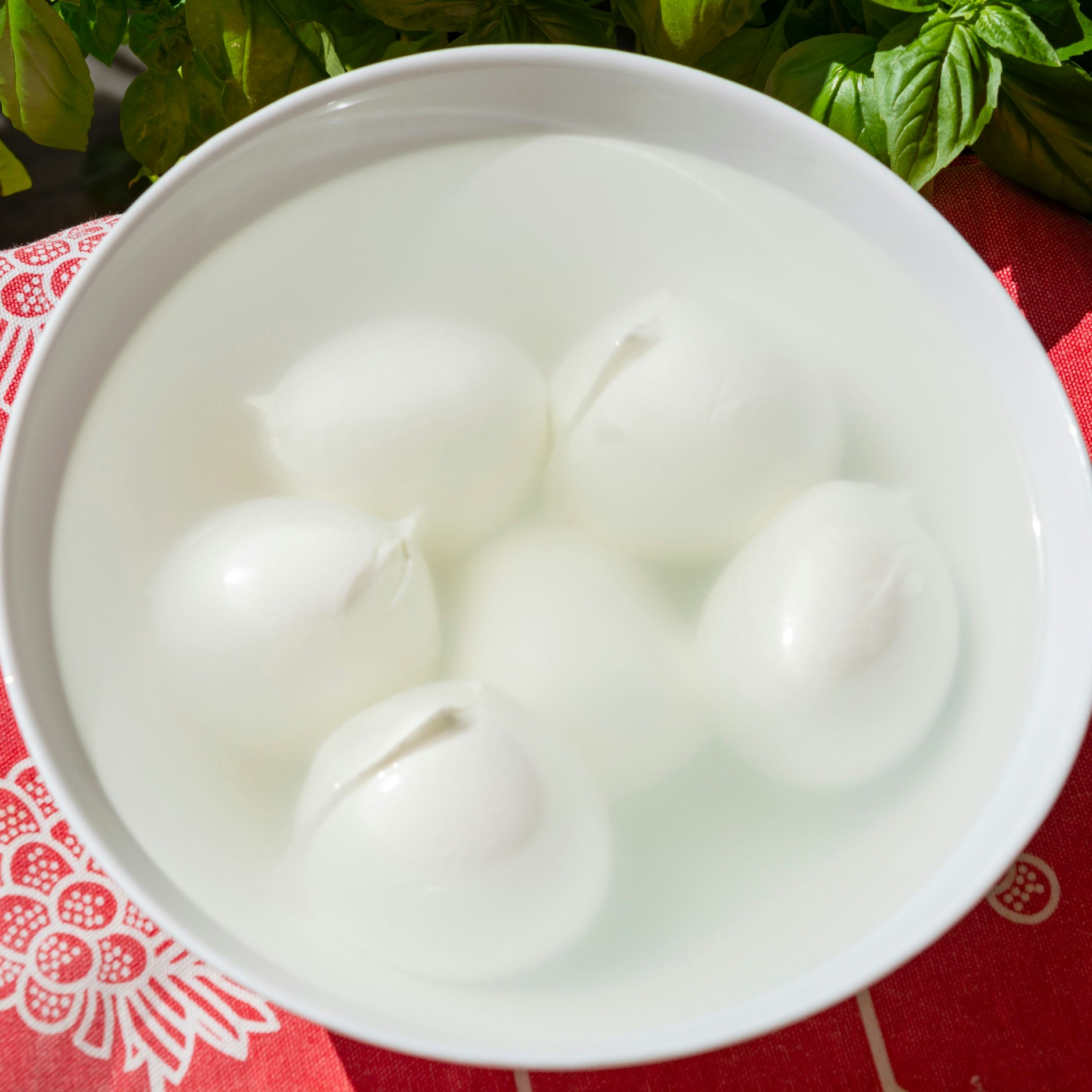 Mozzarella wird in einer Salzlake oder Molke gelagert.