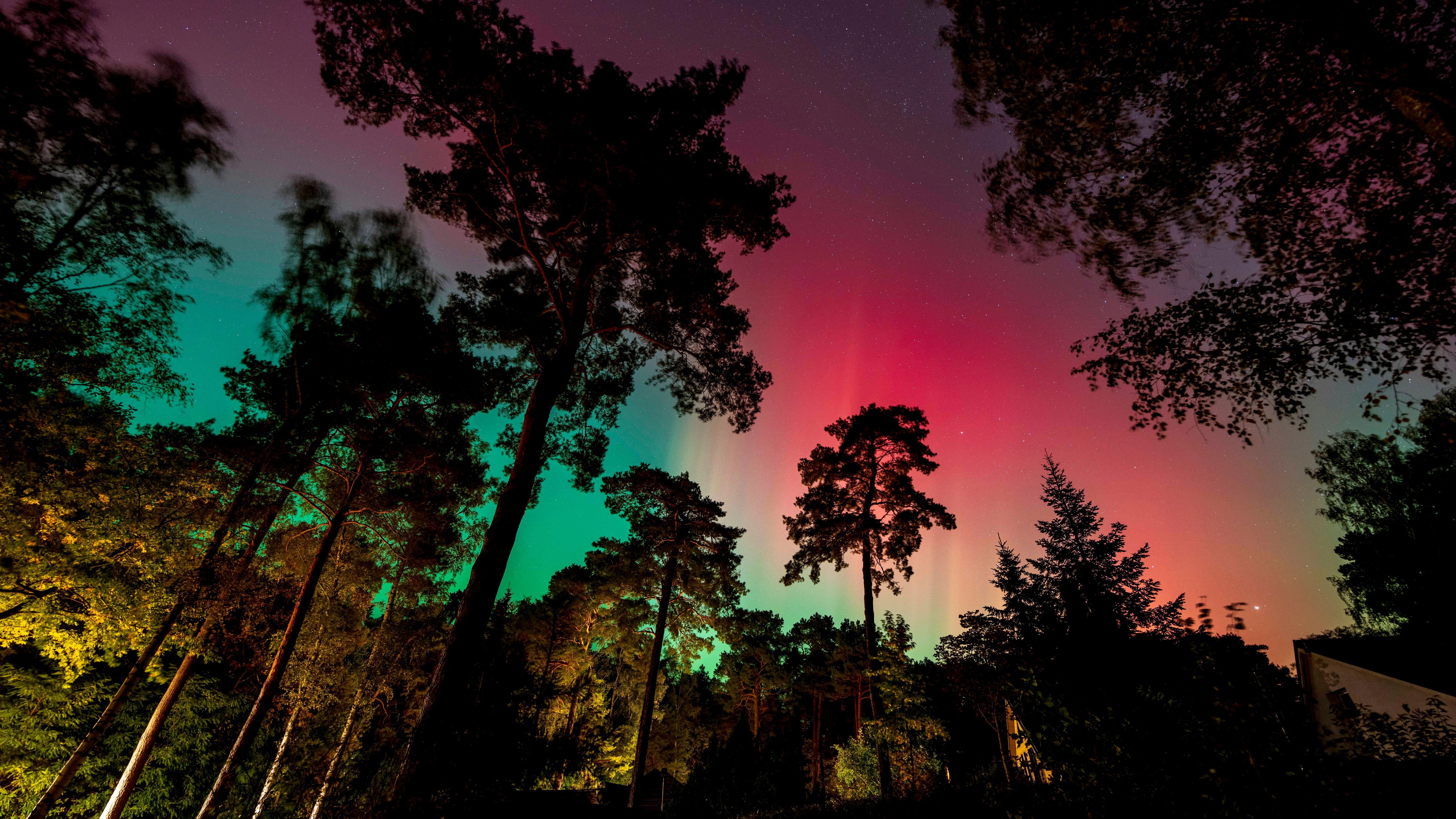 Auch in Brandenburg funkelten die Nordlichter in der Nacht zu Freitag am Nachthimmel. 