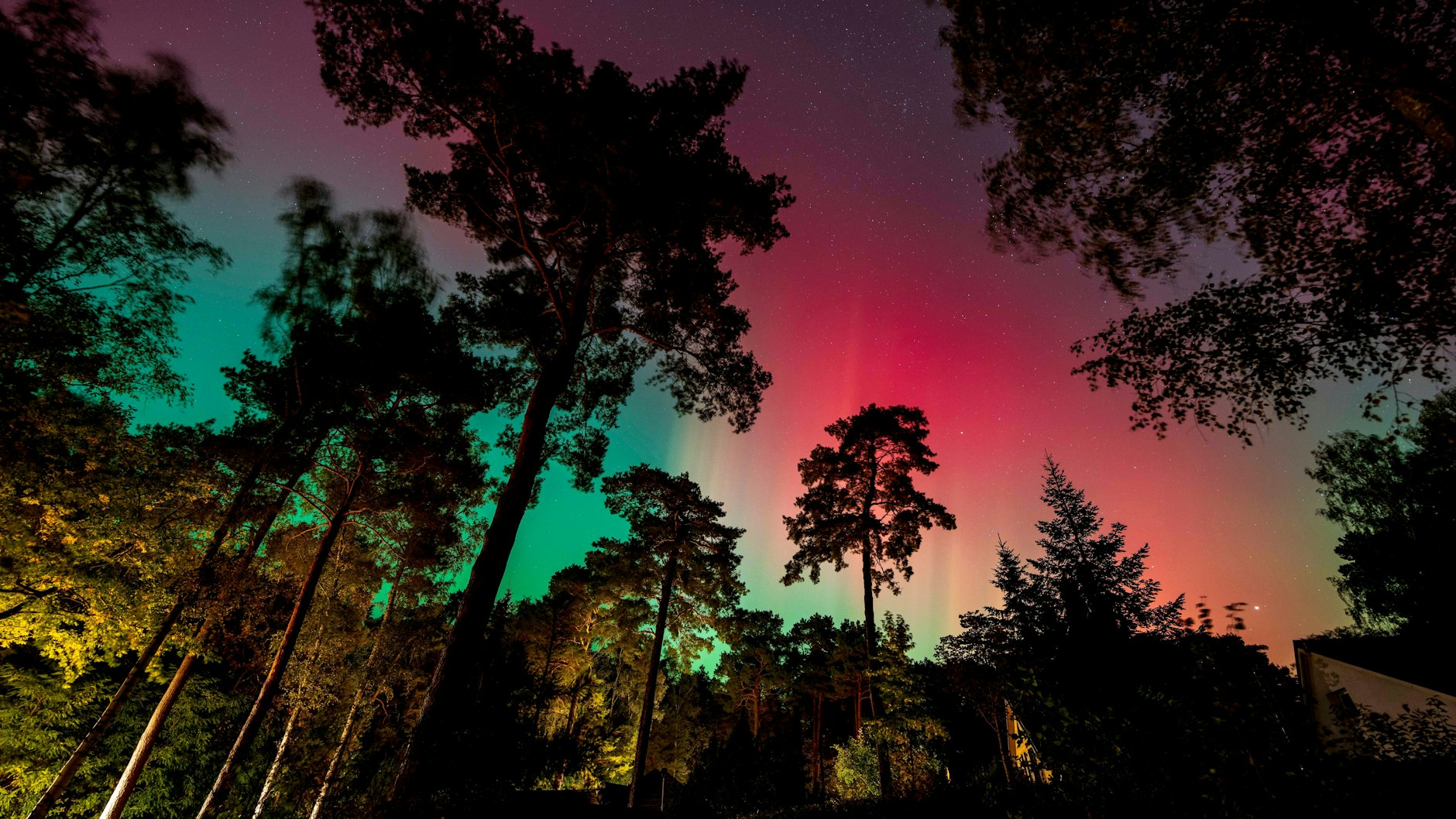 Auch in Brandenburg funkelten die Nordlichter in der Nacht zu Freitag am Nachthimmel. 