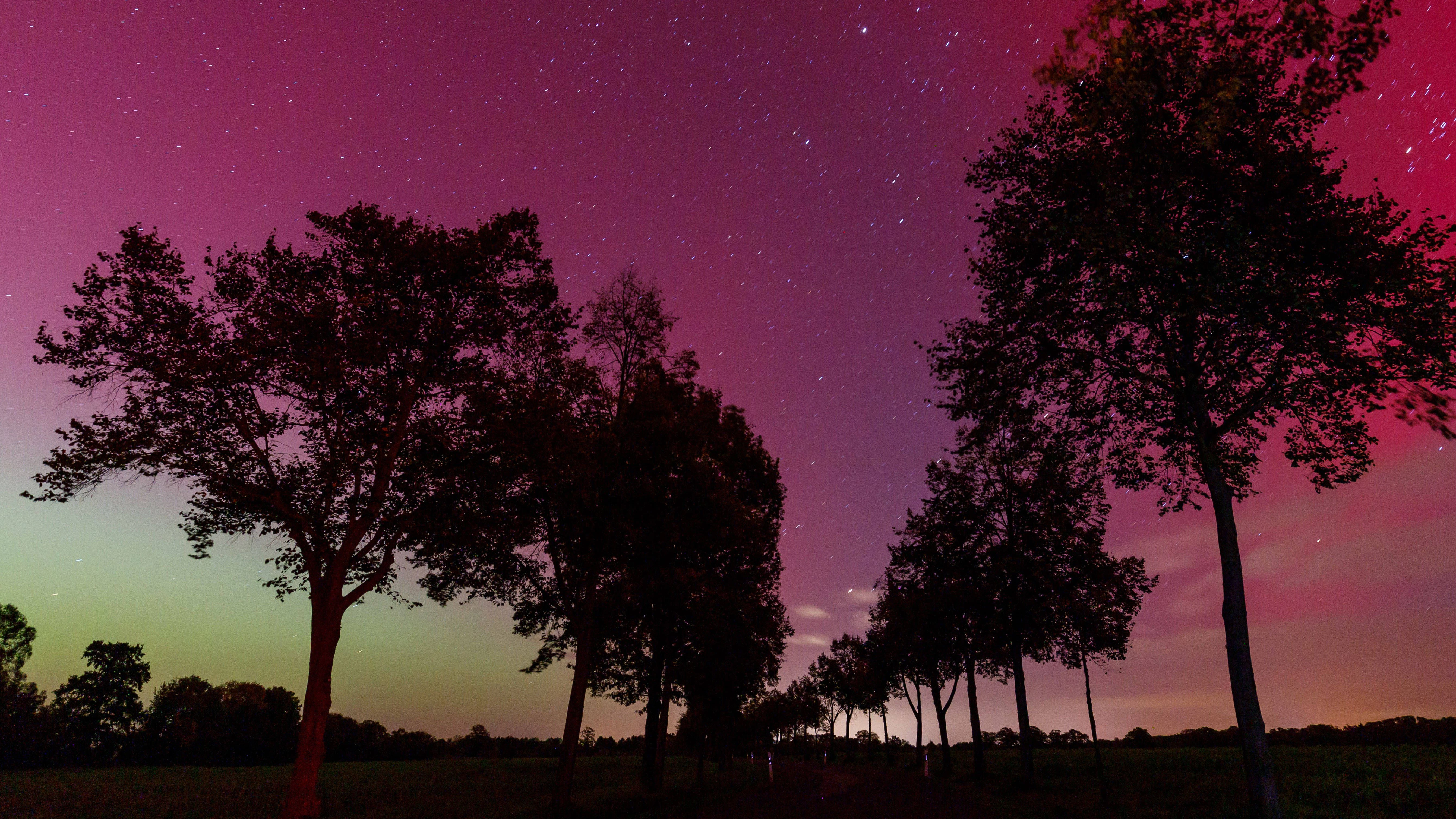 Nordlichter über Brandenburg - ein wahres Lichter-Spektakel.