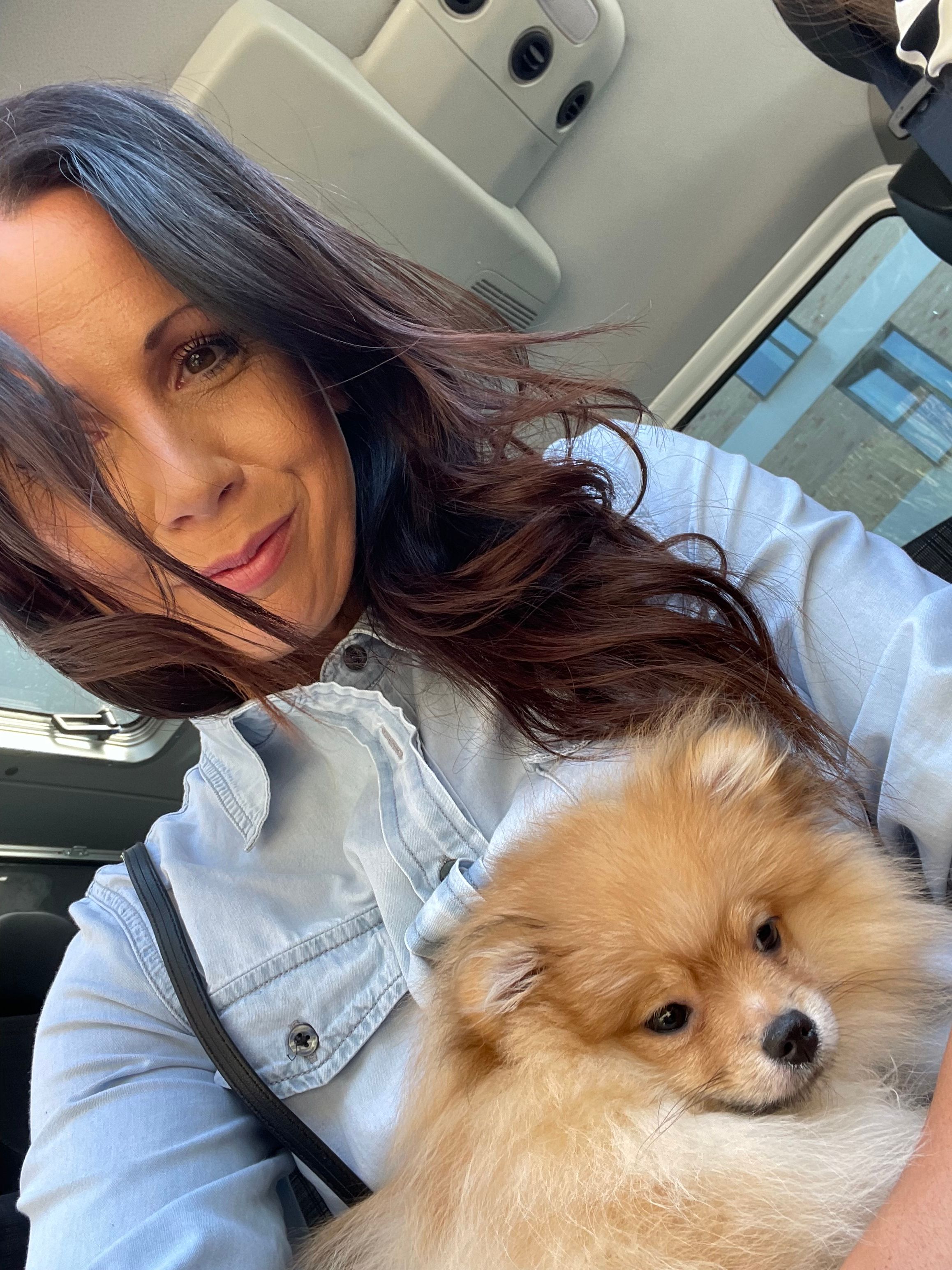 Image - Illegaler Welpenhandel in Berlin und Polen aufgedeckt – Welpen gerettet