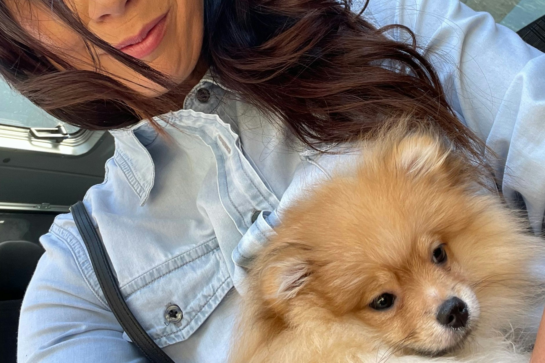 PETA-Ermittlerin Jana Hoger mit einem geretteten Pomeranian: Im Berliner Stadtteil Wedding konnten mehrere ungeimpfte Welpen sichergestellt werden.&nbsp;