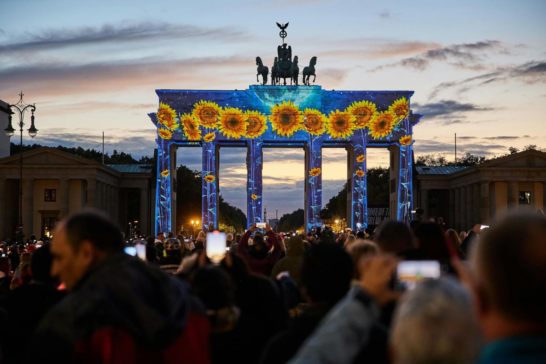 Sonnenblumen gegen den Herbstblues am Brandenburger Tor.