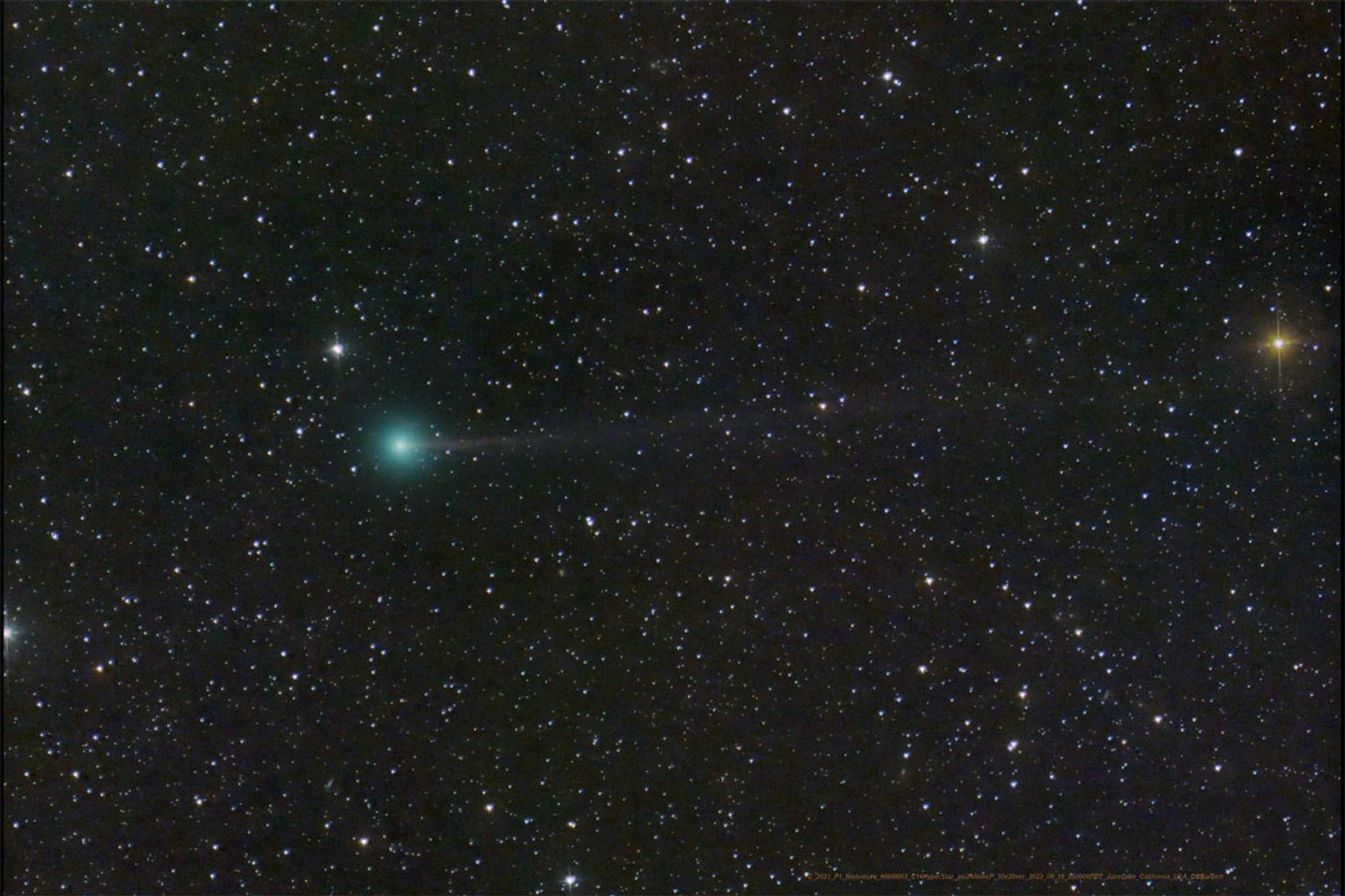 Der Kometen C/2023 (grün), auch «Nishimura» genannt. SO können auch Sie ihn heute Abend fotografieren. 