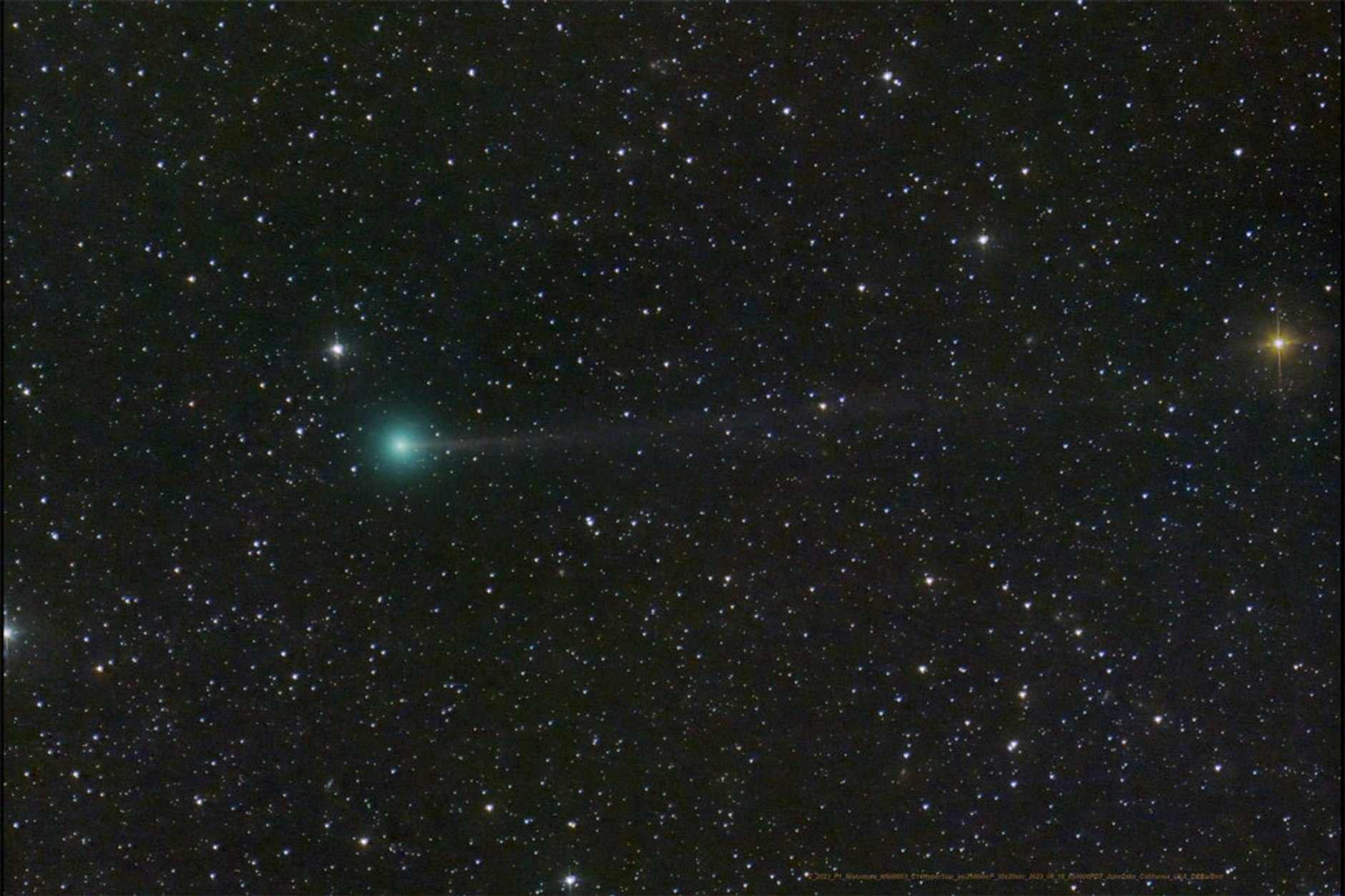 Der Kometen C/2023 (grün), auch «Nishimura» genannt. SO können auch Sie ihn heute Abend fotografieren. 
