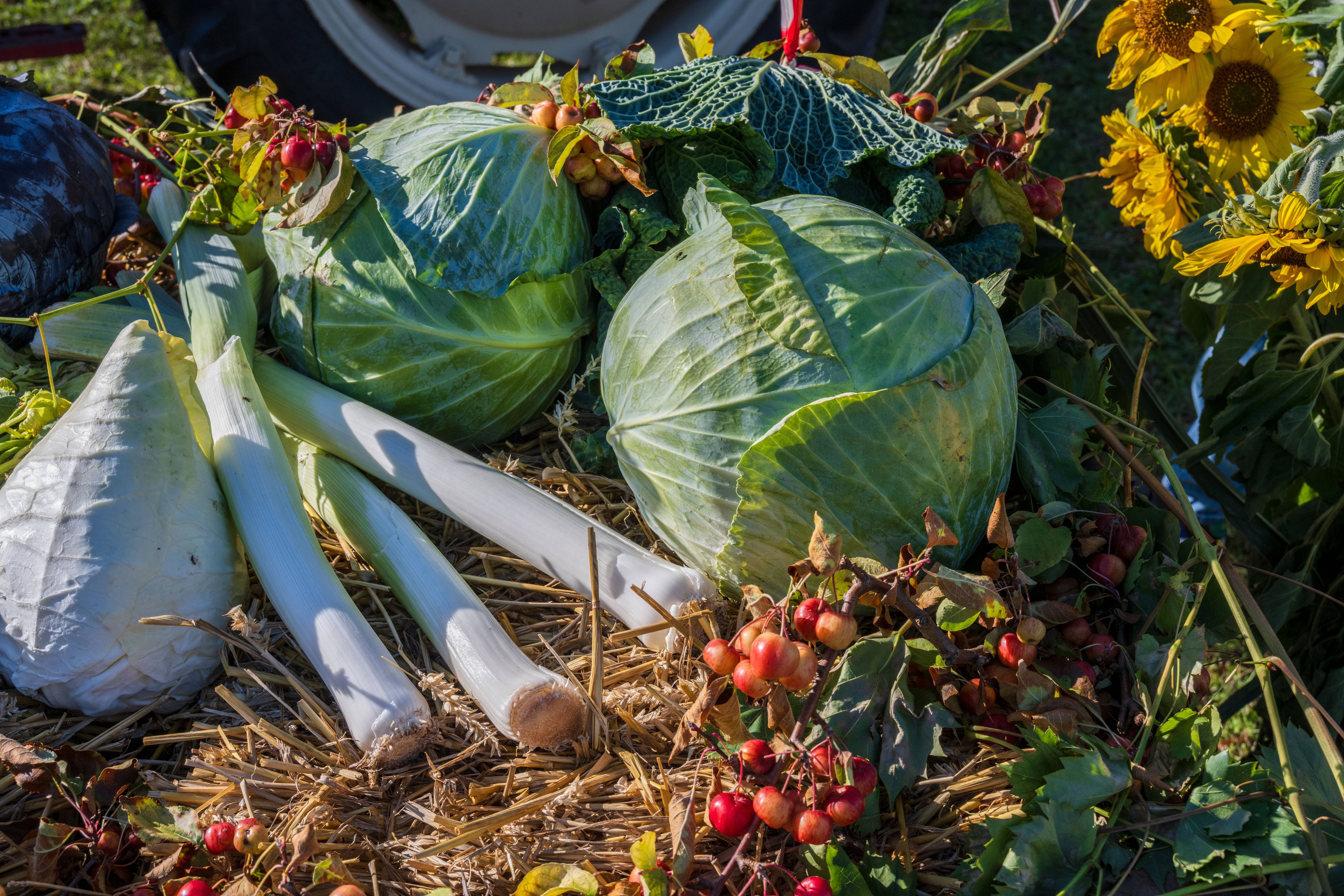 Rezept für Kohl aus dem Airfryer: knuspriger Superfood-Genuss in Minuten