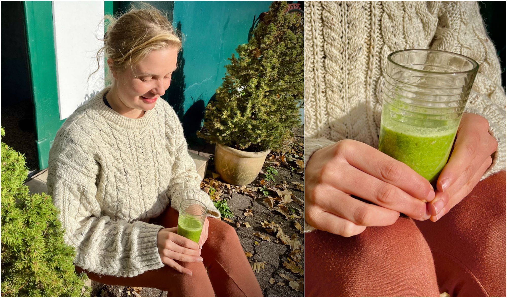 Rezept für Fiona's Fit-Flush: Der schnelle Immunbooster für den Herbst