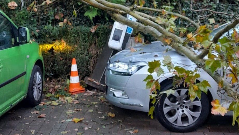 Herabgestürzte Äste auf einen parkenden Pkw in Potsdam 