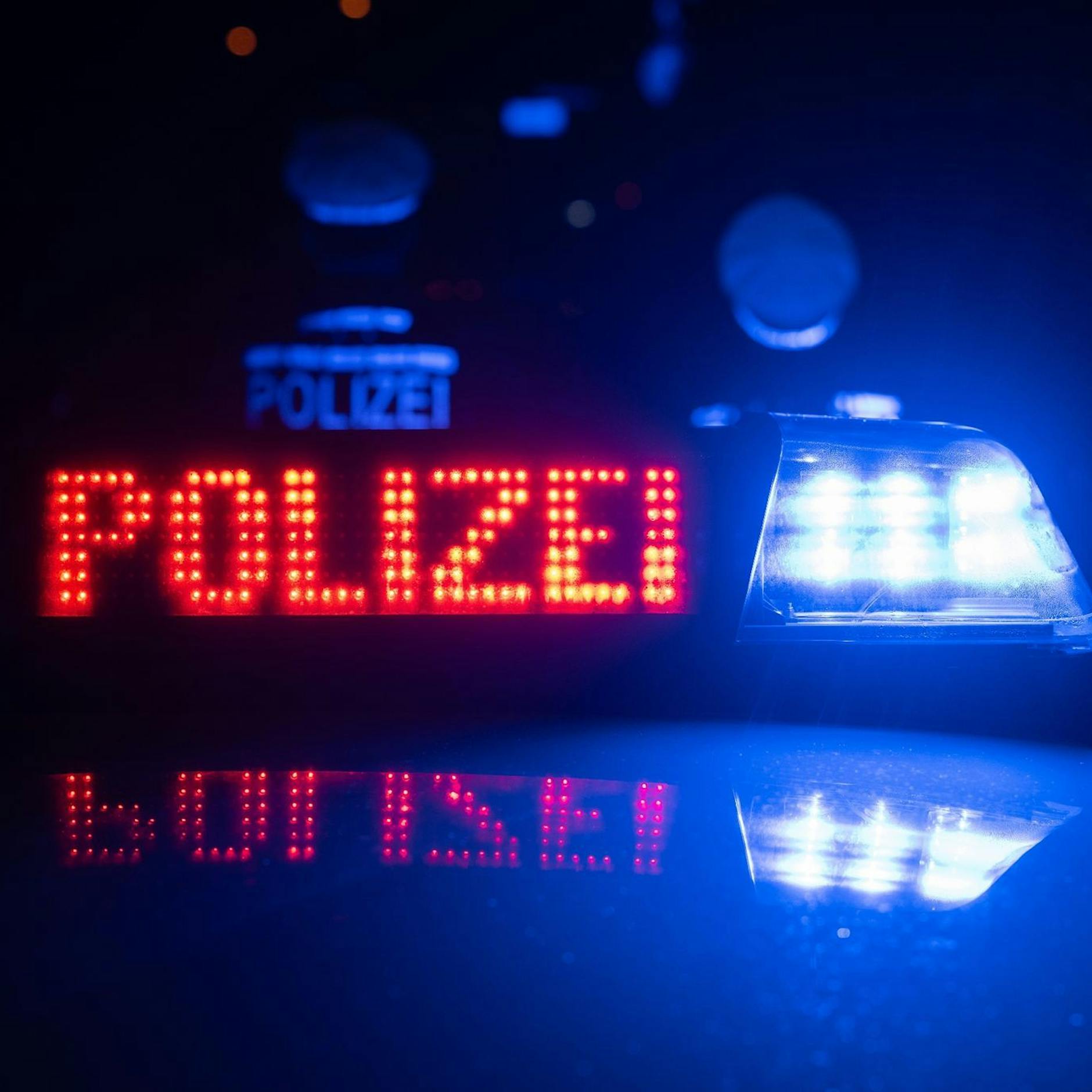 Leichenteile in Tiefkühltruhe! 40-Jähriger in Haft