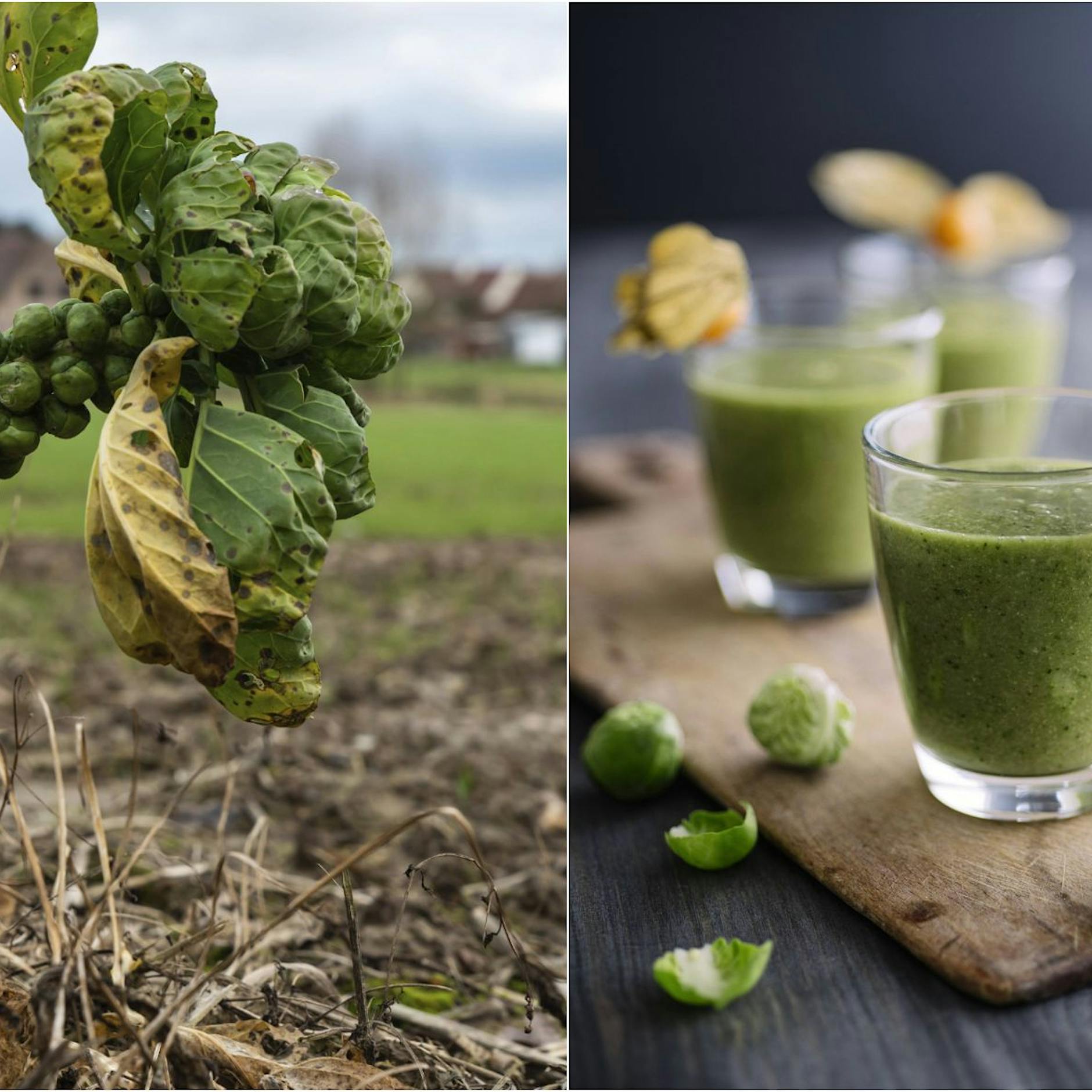 Rezept für Fionas Rosenkohl-Geheimnis: Der perfekte Entschlackungs-Schluck