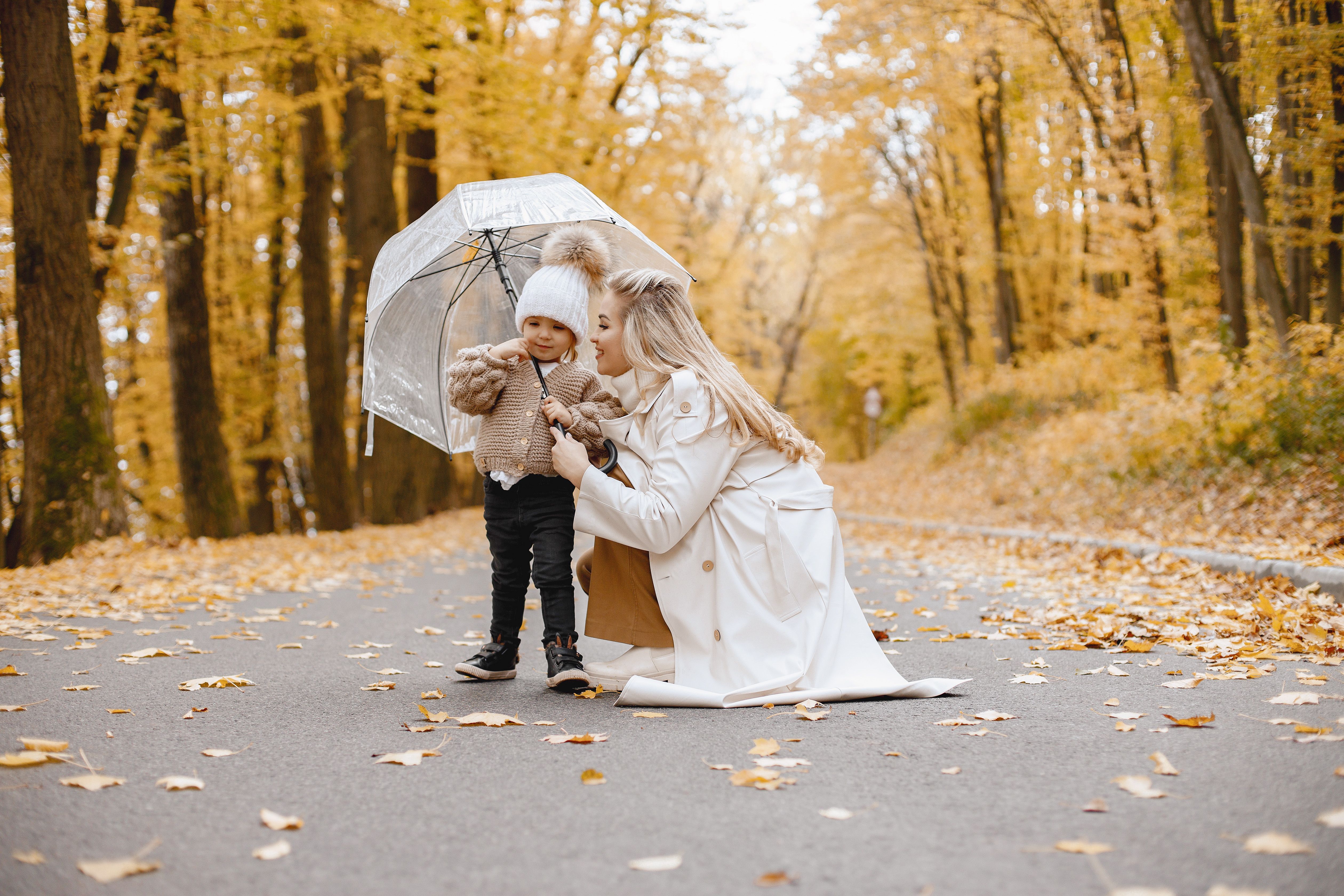 Horoskop für heute: Montag, 11. November 2024 – für alle Sternzeichen