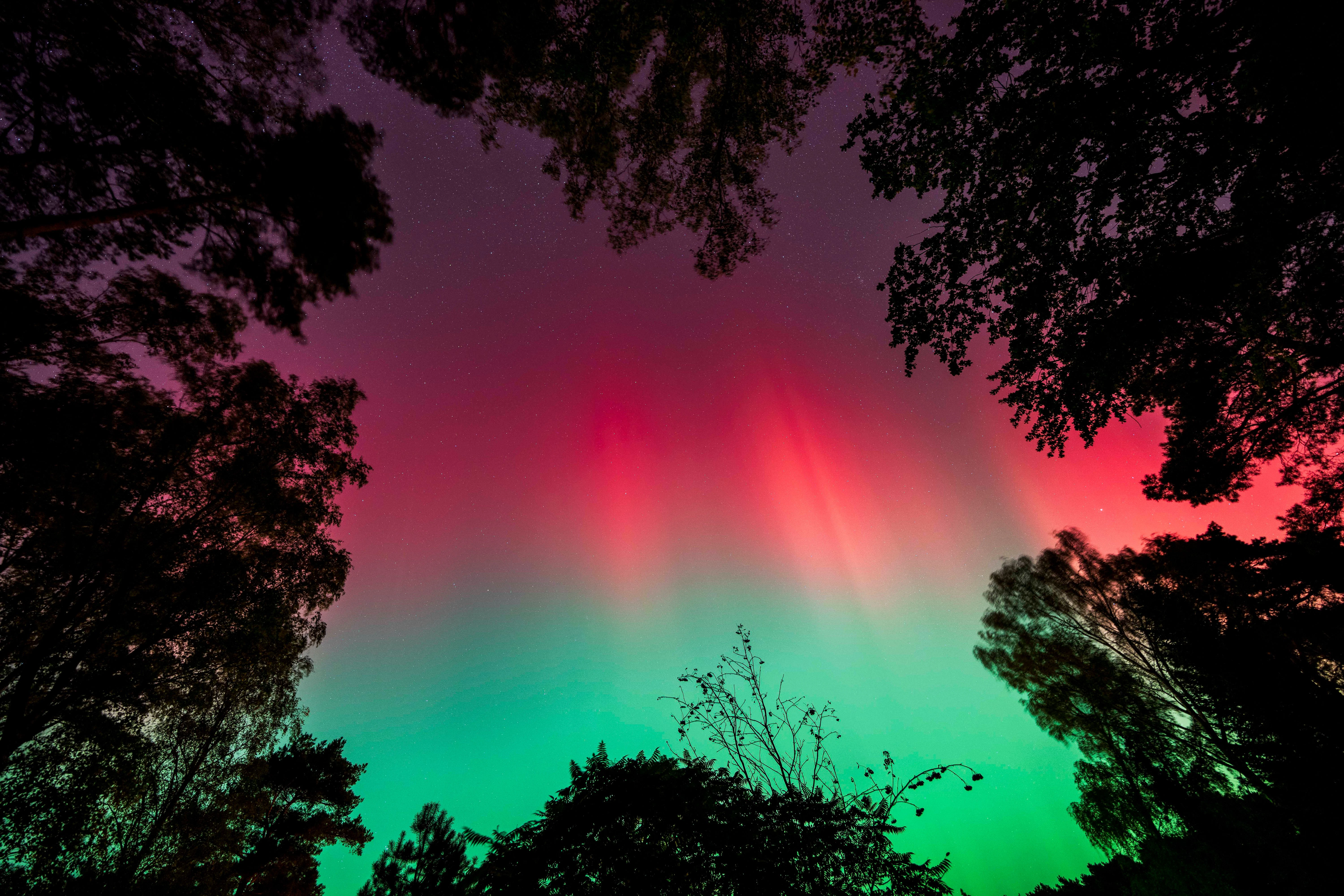 Wunderschöne Nordlichter über Berlin und Brandenburg – dieses Foto entstand in Wandlitz, Deutschland am 10. Oktober 2024. Auch kommende Tage kann es erneut zu diesem Naturschauspiel kommen. 