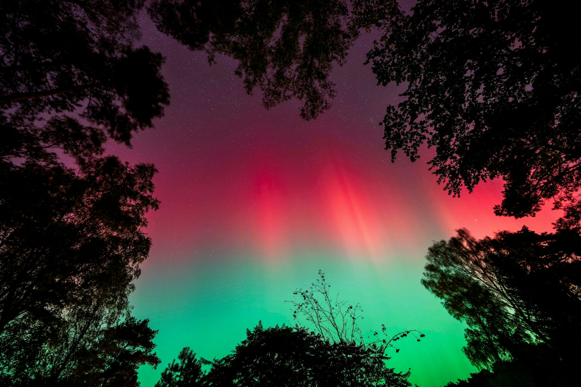 Wunderschöne Nordlichter über Berlin und Brandenburg – dieses Foto entstand in Wandlitz, Deutschland am 10. Oktober 2024. Auch kommende Tage kann es erneut zu diesem Naturschauspiel kommen. 