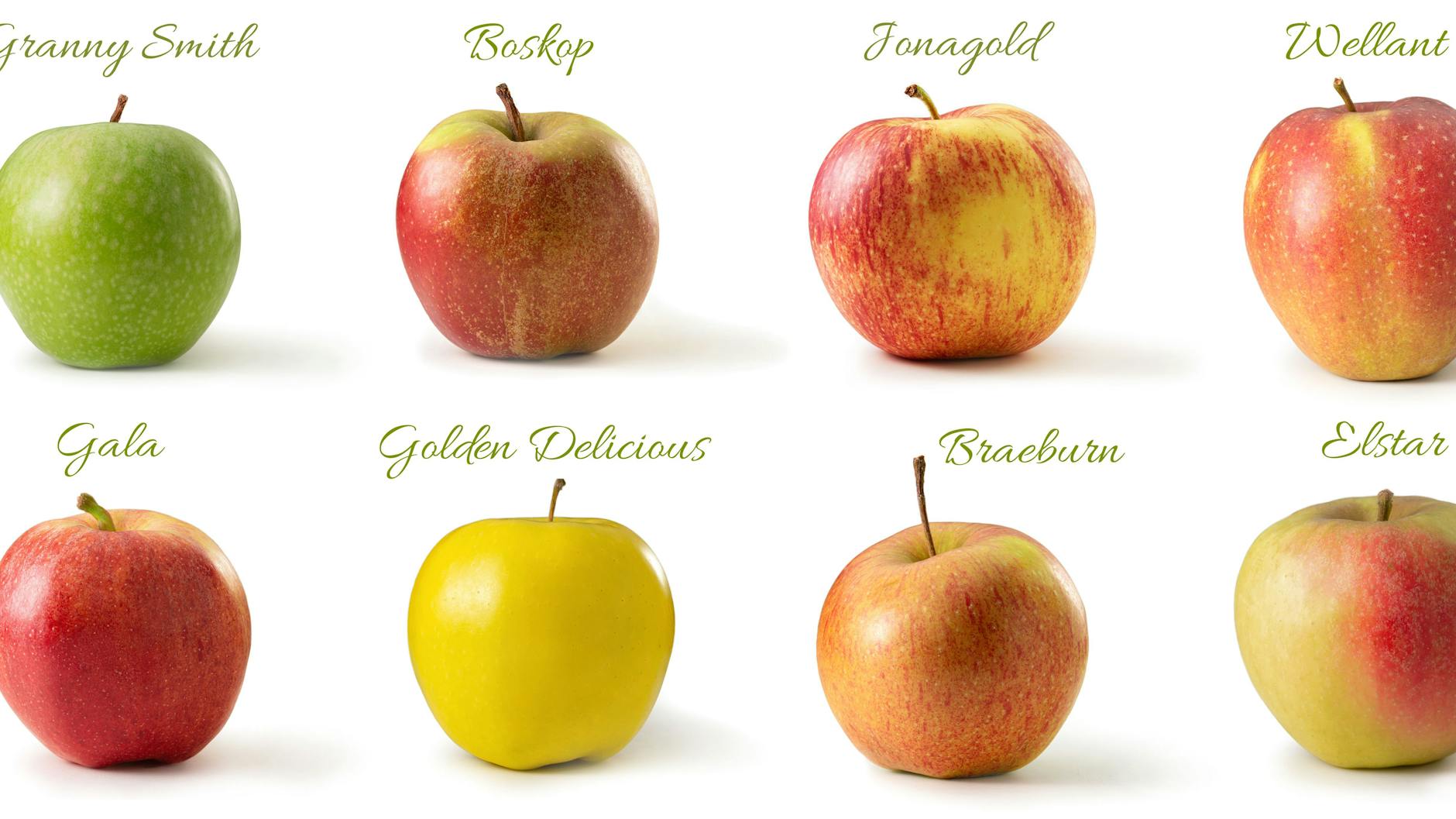 Die sind einige der gängigsten und beliebtesten Apfel-Sorten.