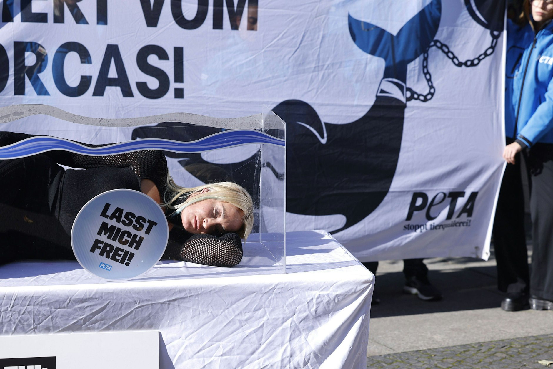 Bildstark für Schwertwale: Die Pop-Sängerin Sarah Connor in einem Aquarium in Berlin-Mitte.