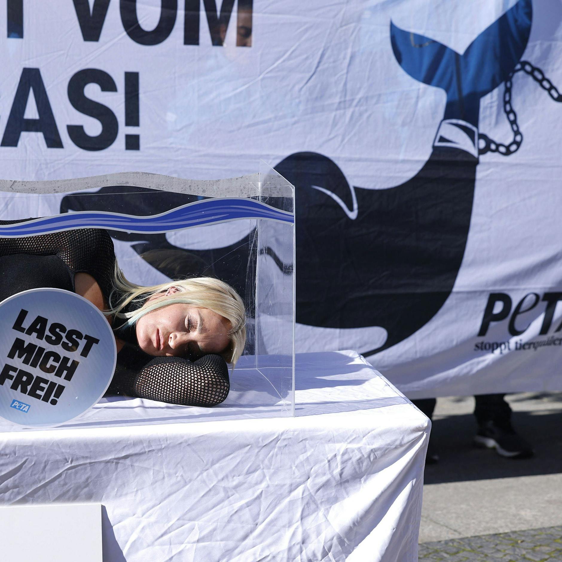 Image - Sarah Connor wutentbrannt über TUI: „Das ist Bullshit!“