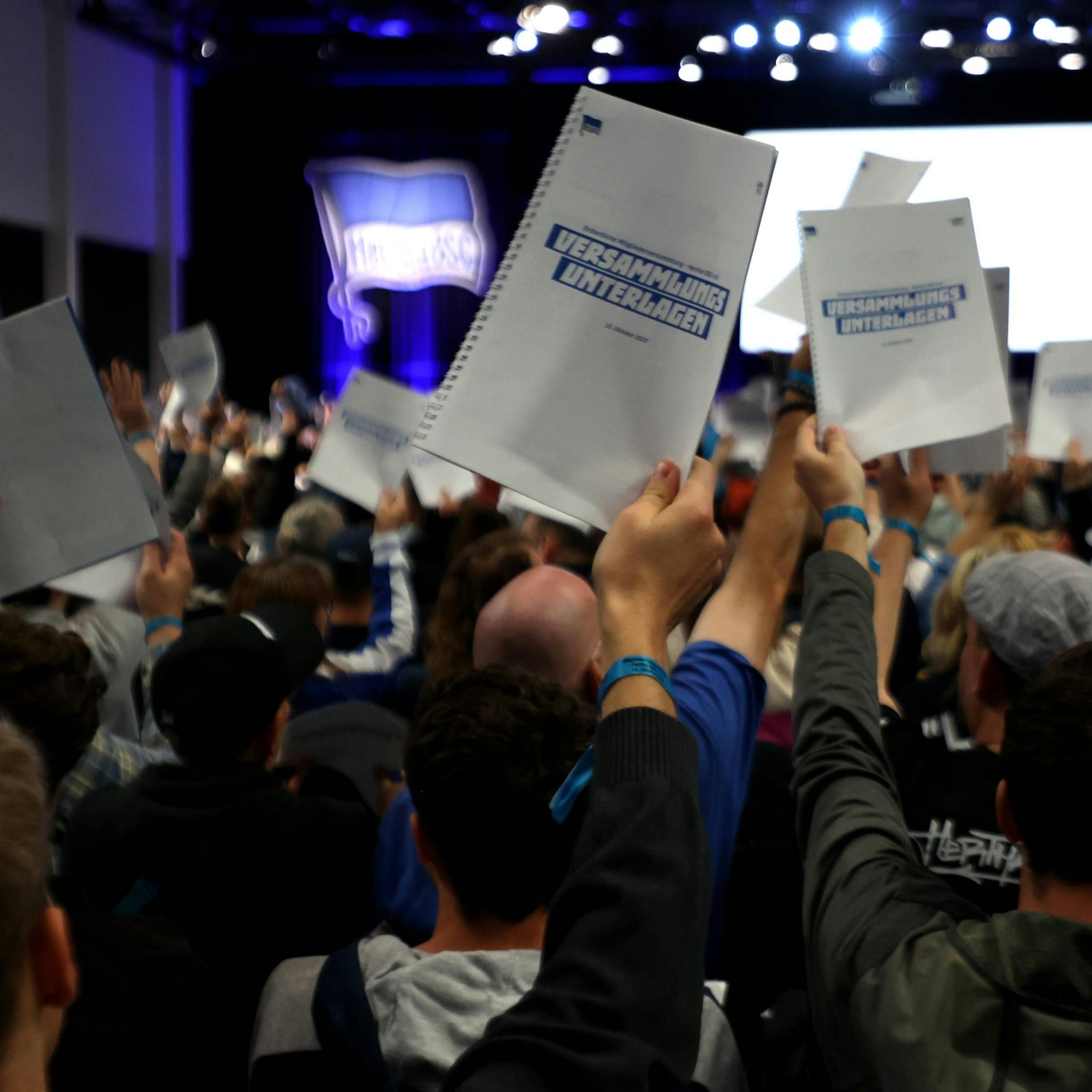 Am 17. November stimmen Herthas Mitglieder ab, wer neuer Präsident wird.