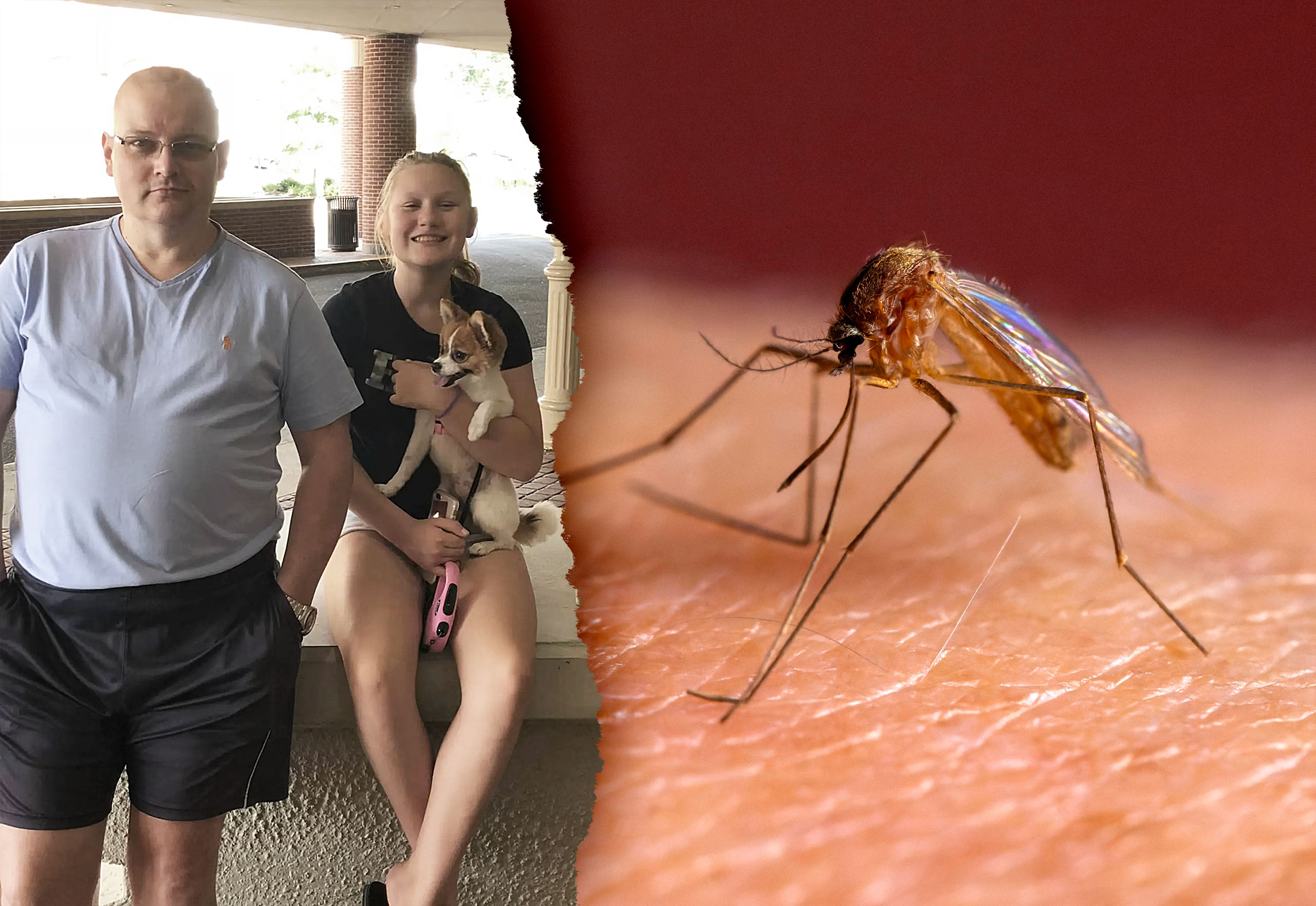 Horror-Fall: Mückenstich tötet Familienvater – nach fünf Jahren!