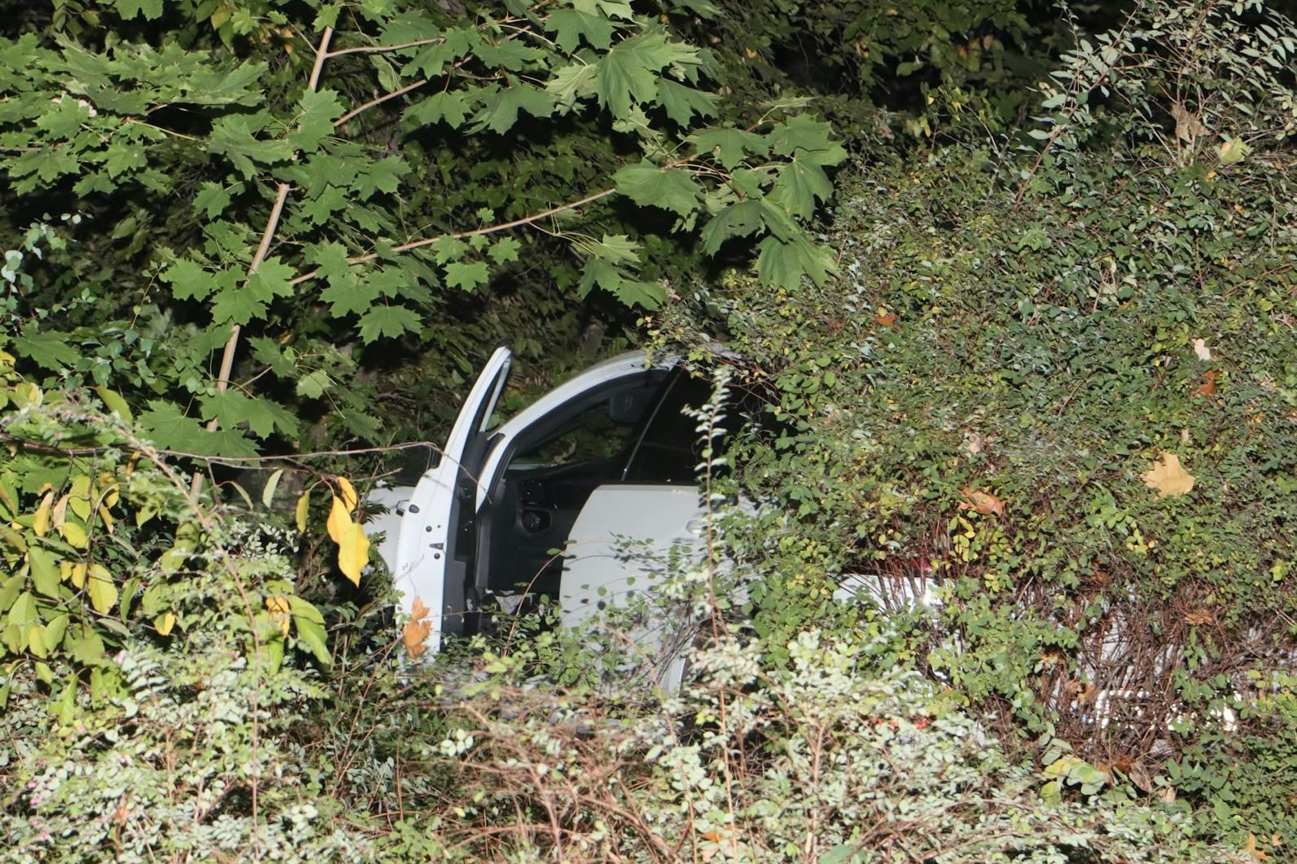 In Neukölln kam ein VW Golf nach einem Unfall erst tief im Gebüsch zum Stehen.