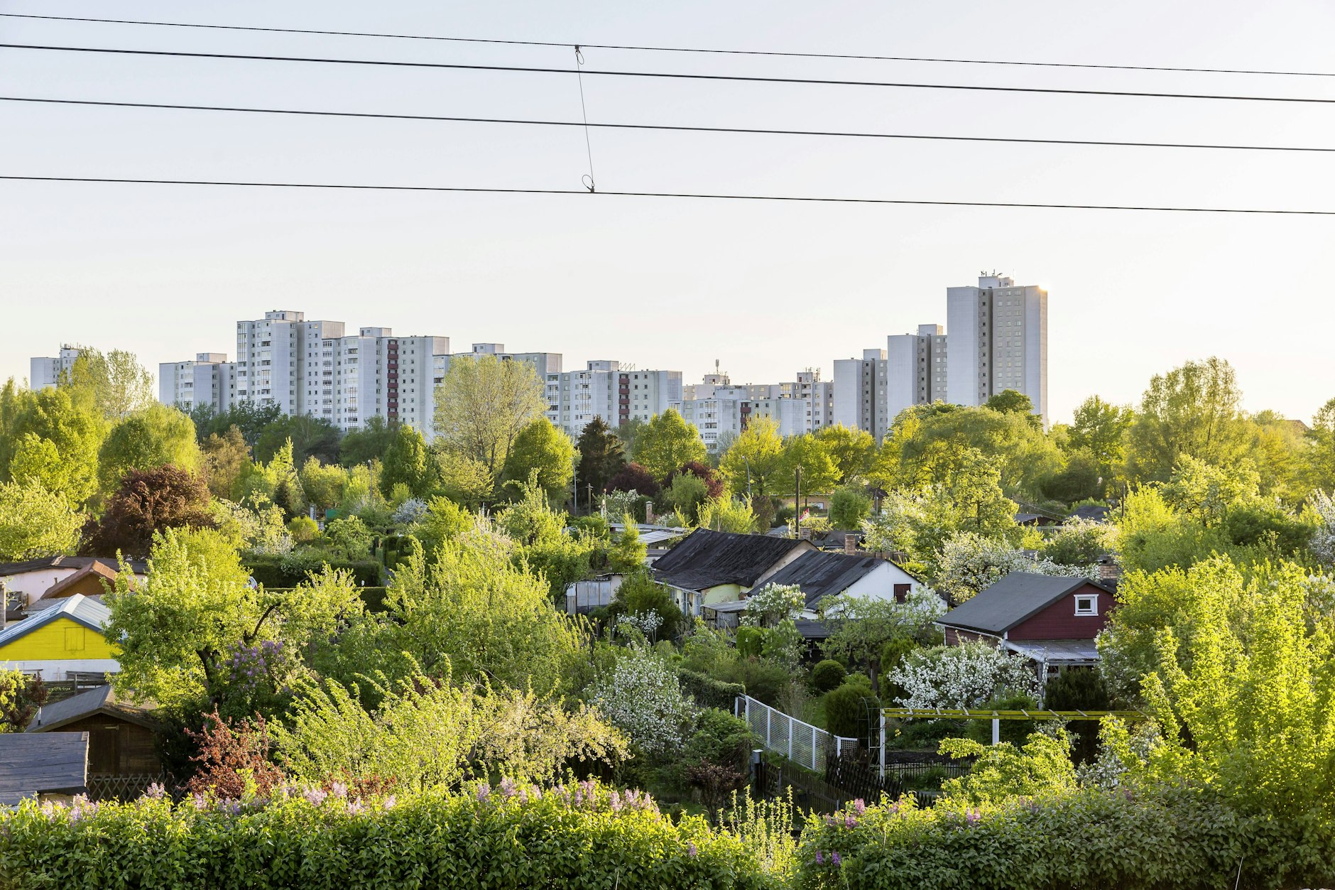 Das Quartier Plänterwald in Treptow-Köpenick soll mit einem Konzept weiterentwickelt werden.