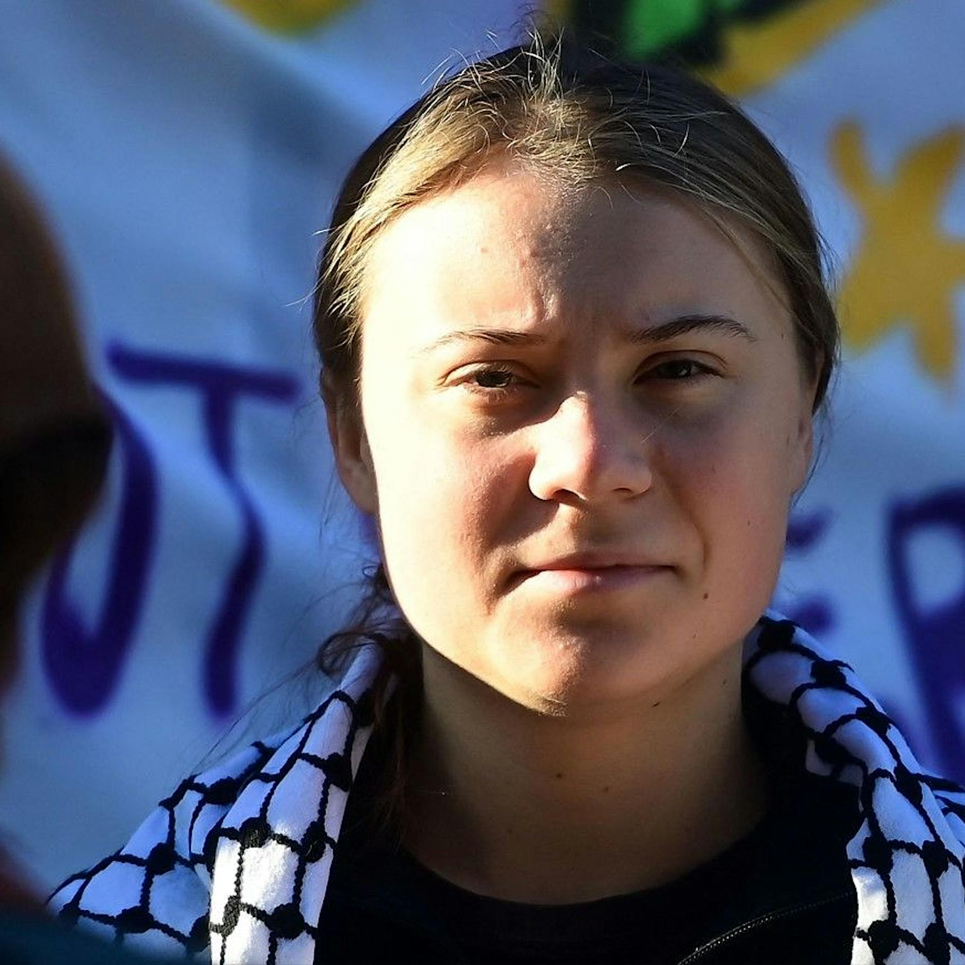 Ob Greta Thunberg oder Letzte Generation: Warum die Panik vor Klima-Kipppunkten falsch ist