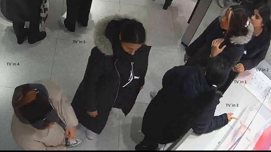 Wer kann der Polizei Hinweise zu diesen Frauen geben?