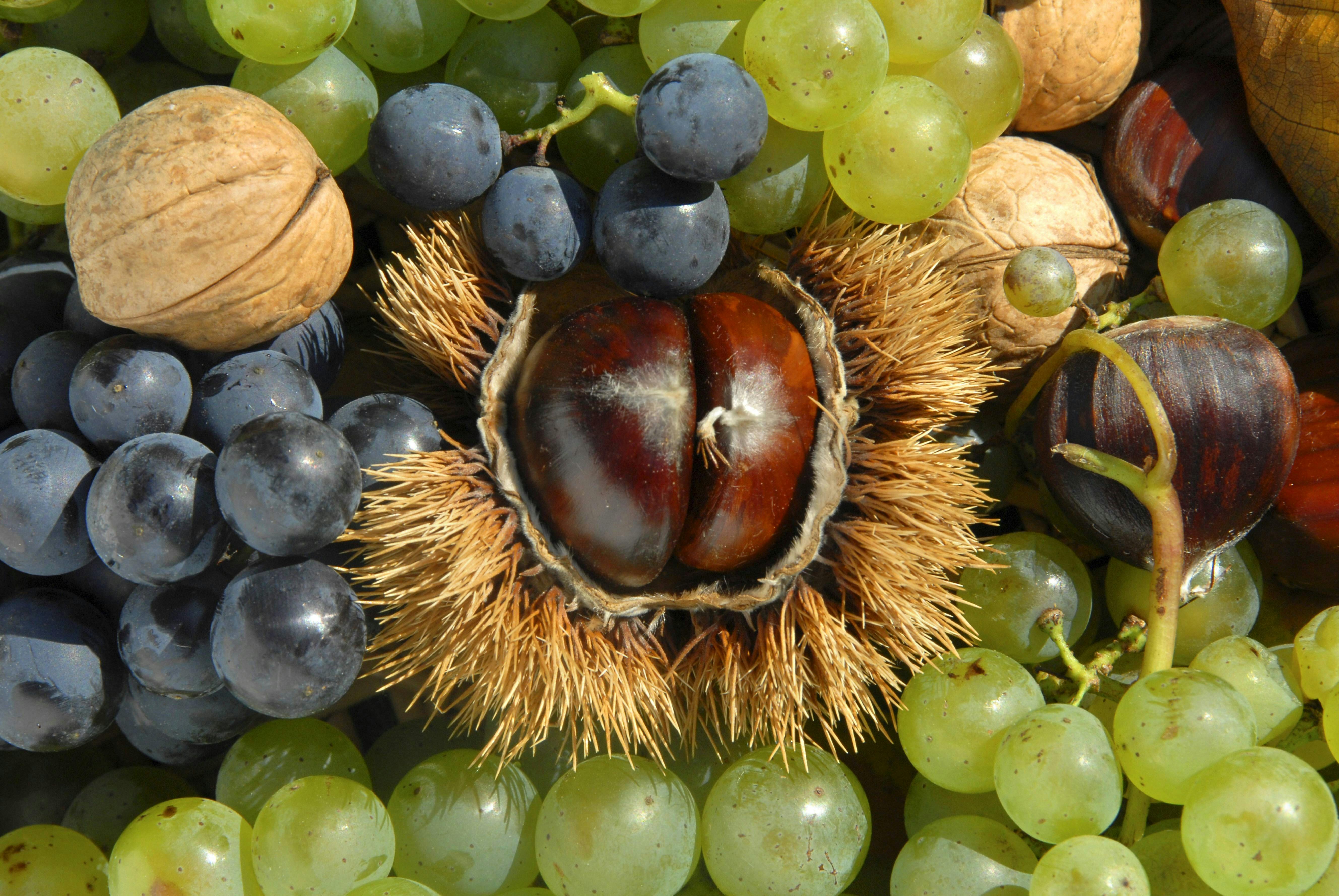 Gerösteter Rosenkohl mit Weintrauben und Nüssen – das geniale Rezept
